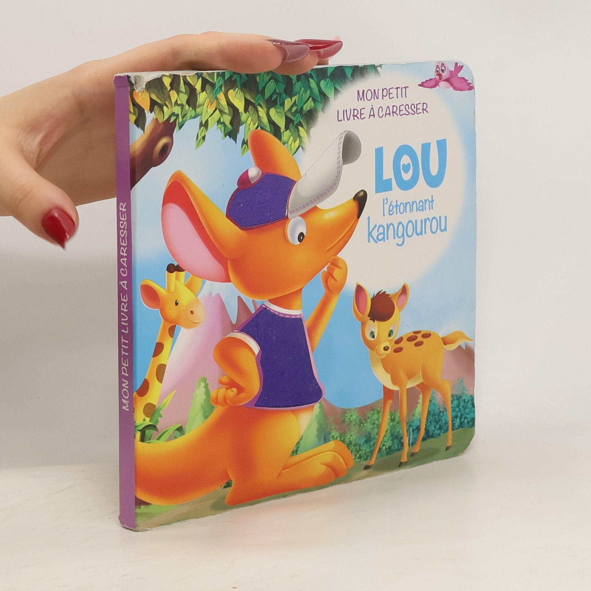 Collectif d'auteurs Lou l'étonnanr kangourou