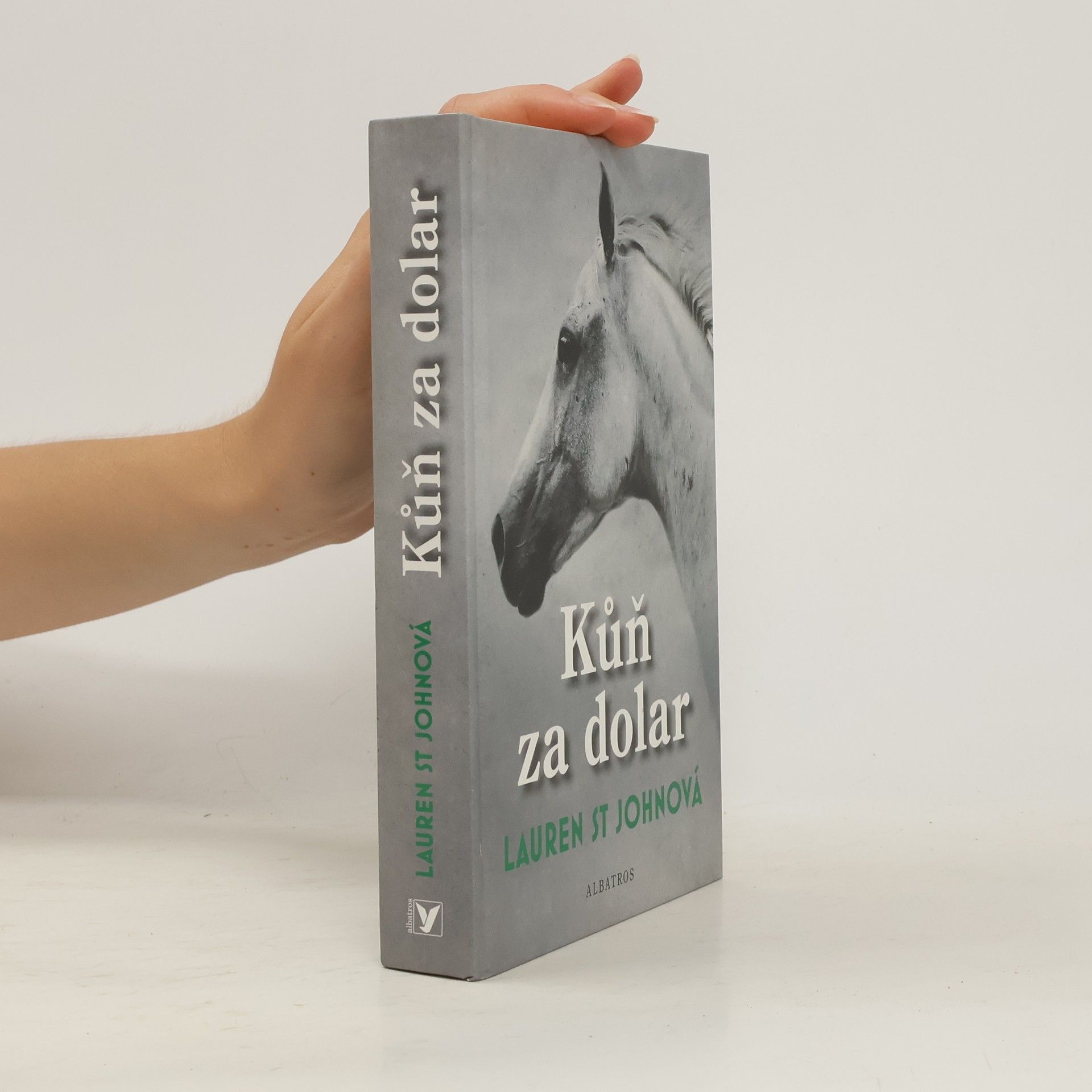 Lauren St. John Kůň za dolar