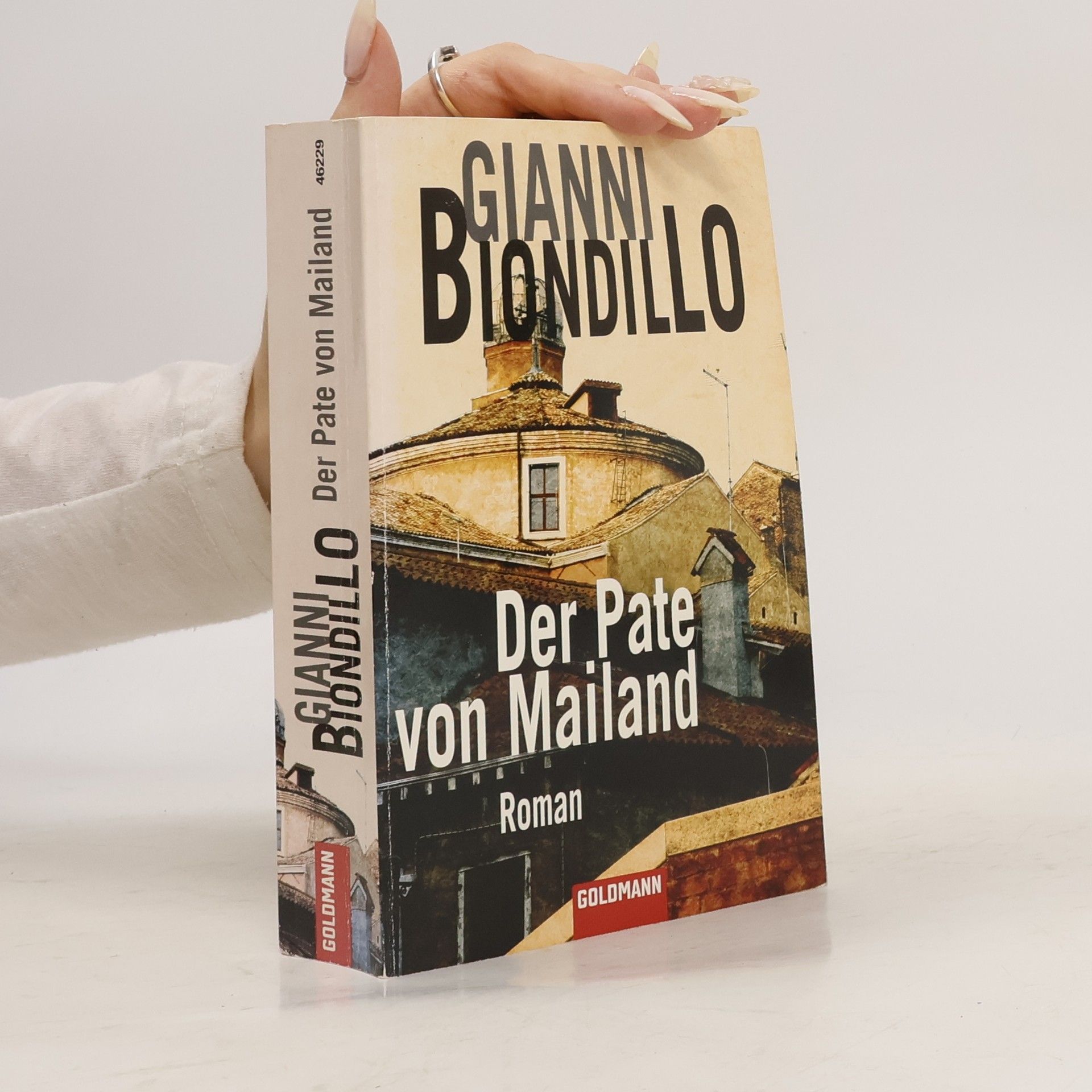 Gianni Biondillo Der Pate von Mailand. Roman