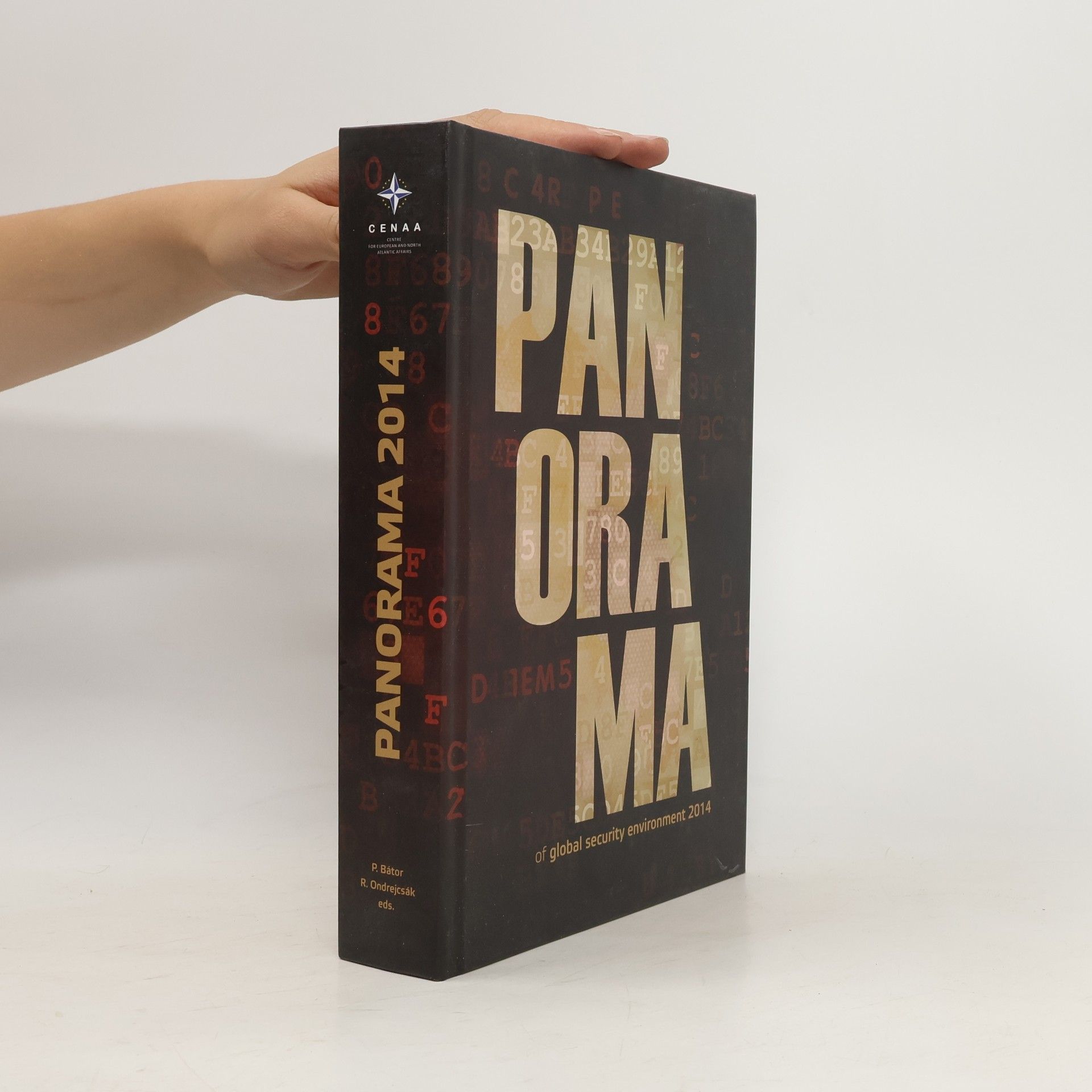 Collectif d'auteurs Panorama of Global Security Environment 2014