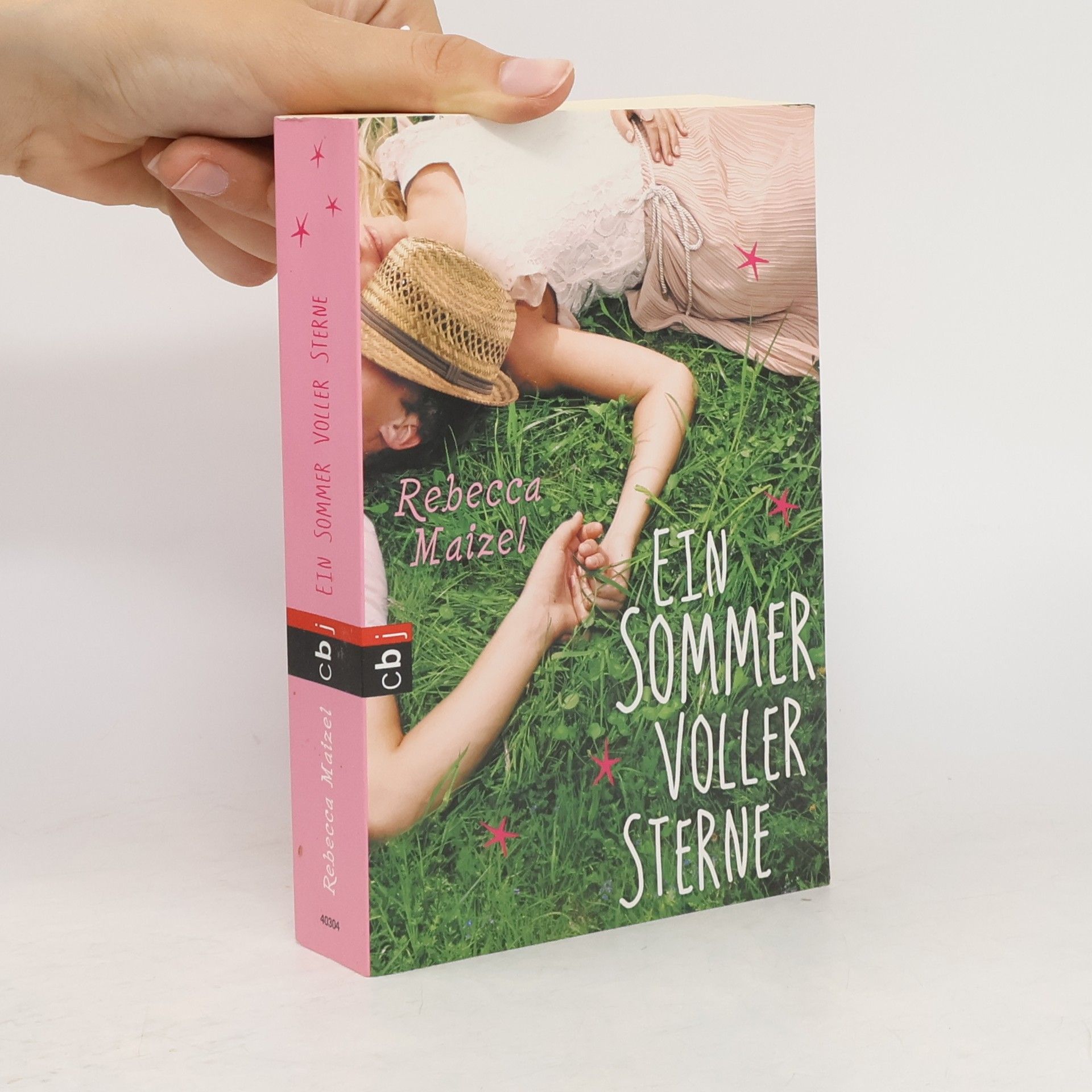 Rebecca Maizel Ein Sommer voller Sterne