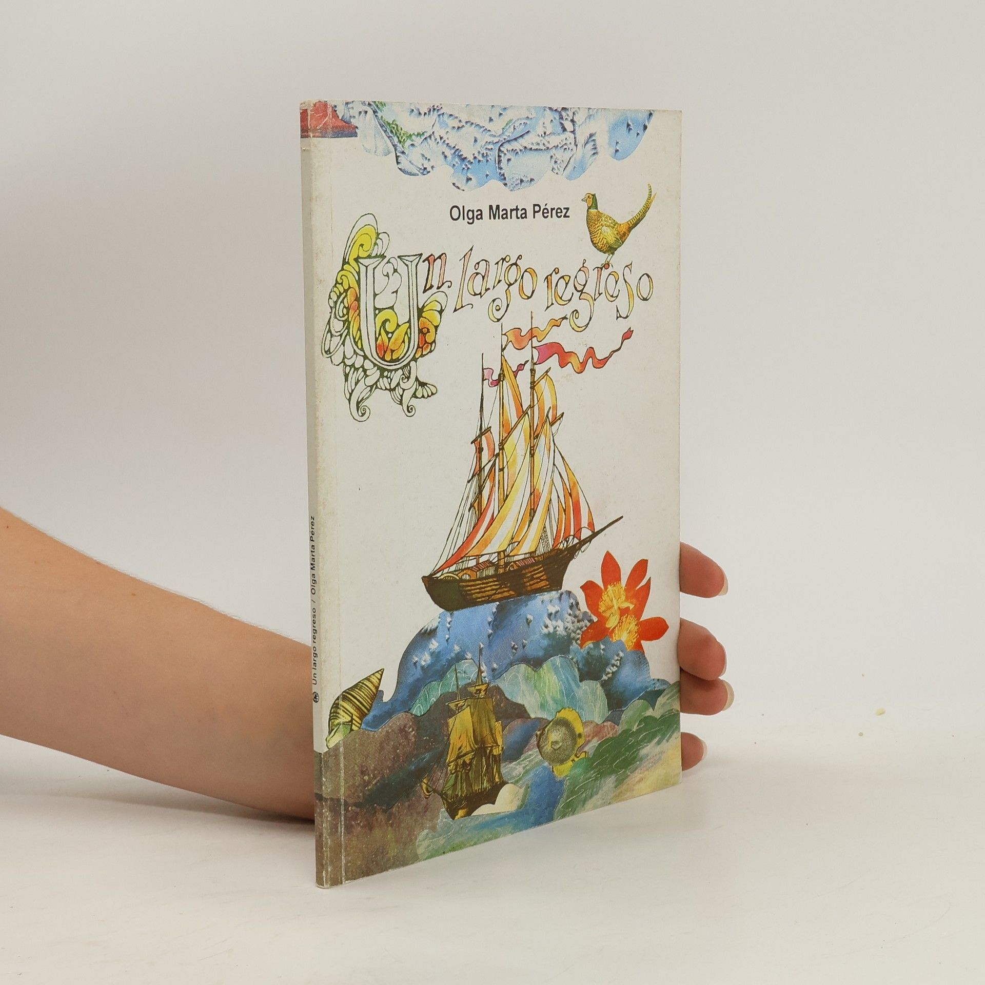 Olga Marta Pérez Un largo regreso