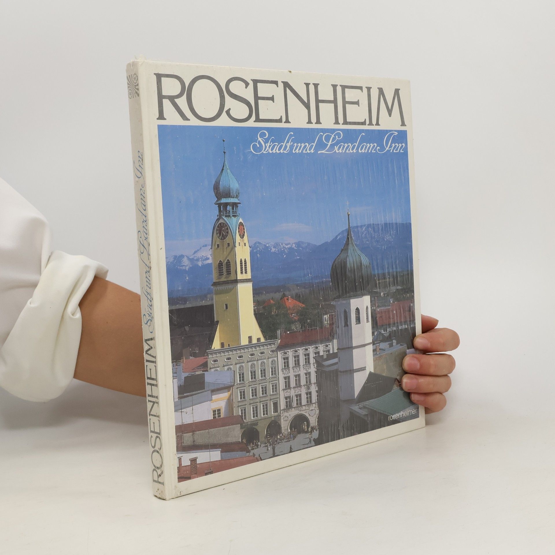 Hans Heyn Rosenheim. Stadt und Land am Inn