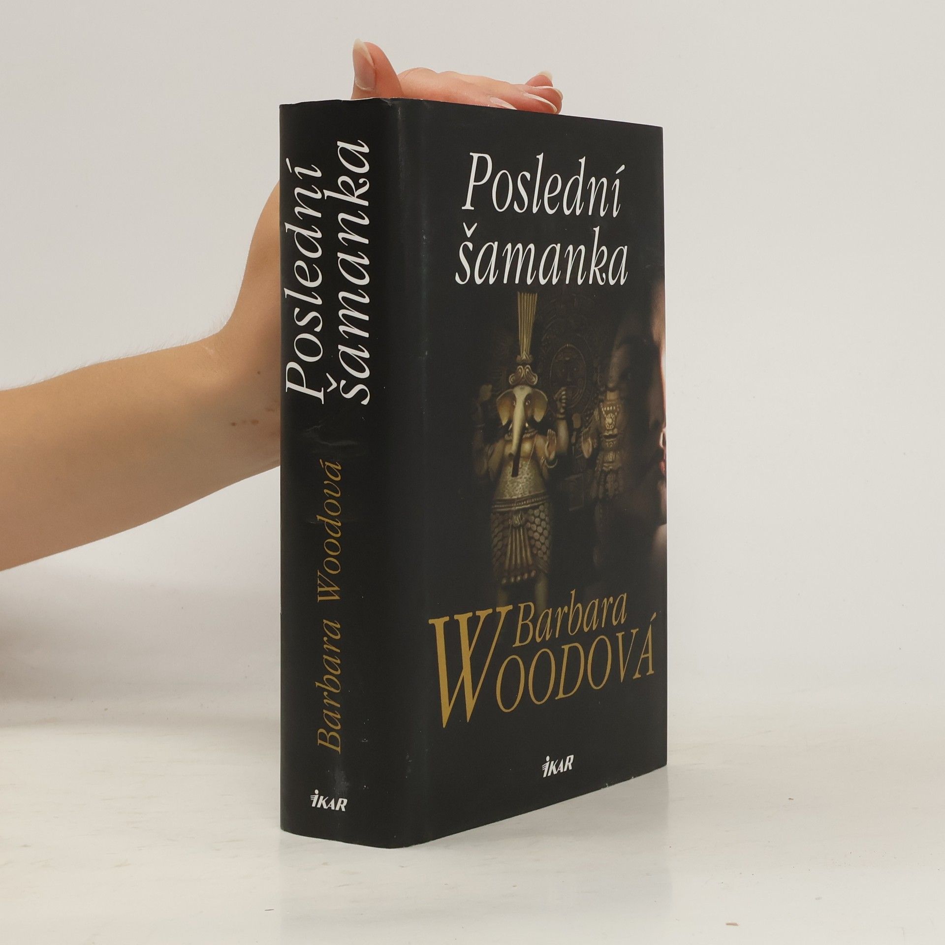Barbara Wood Poslední šamanka