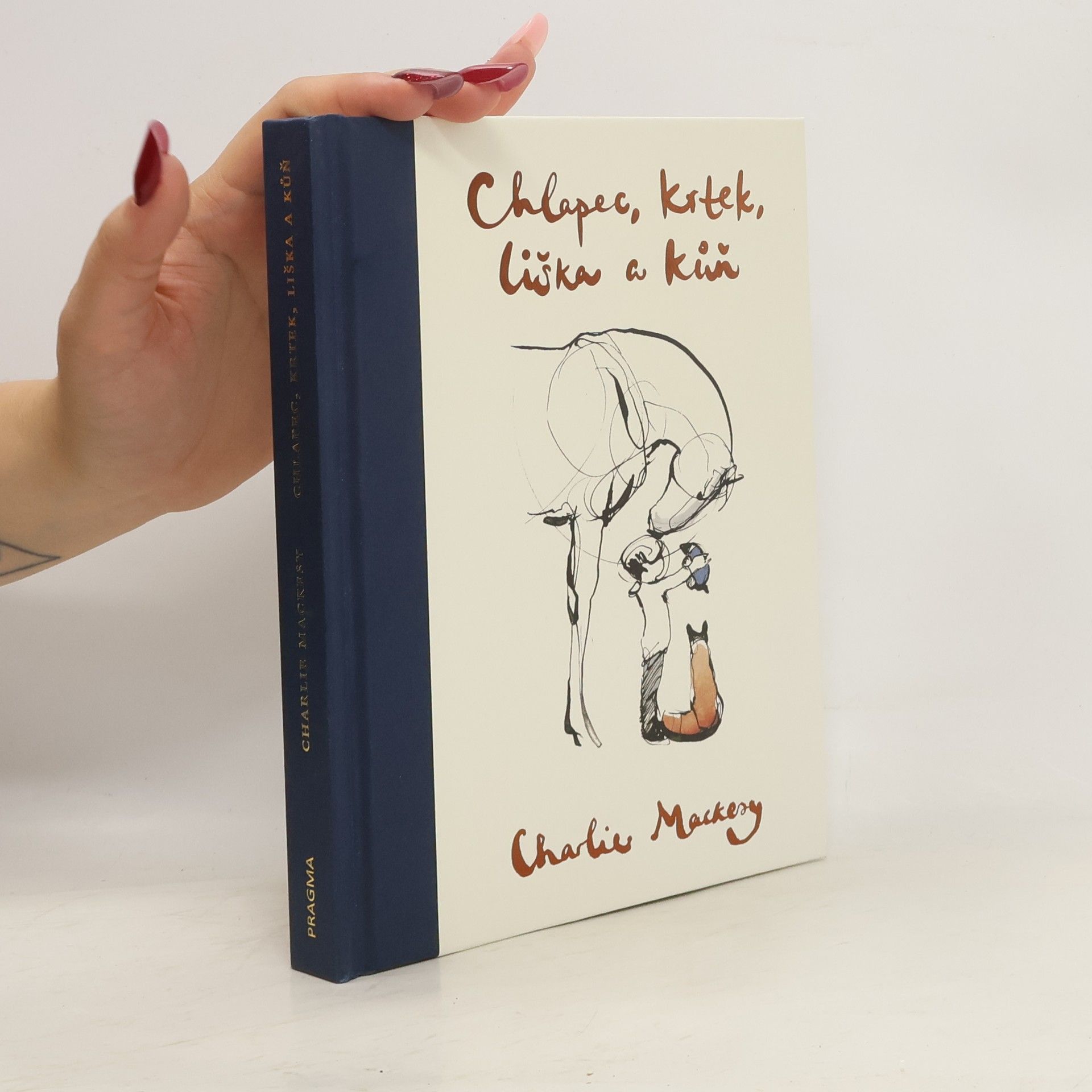 Charlie Mackesy Chlapec, krtek, liška a kůň