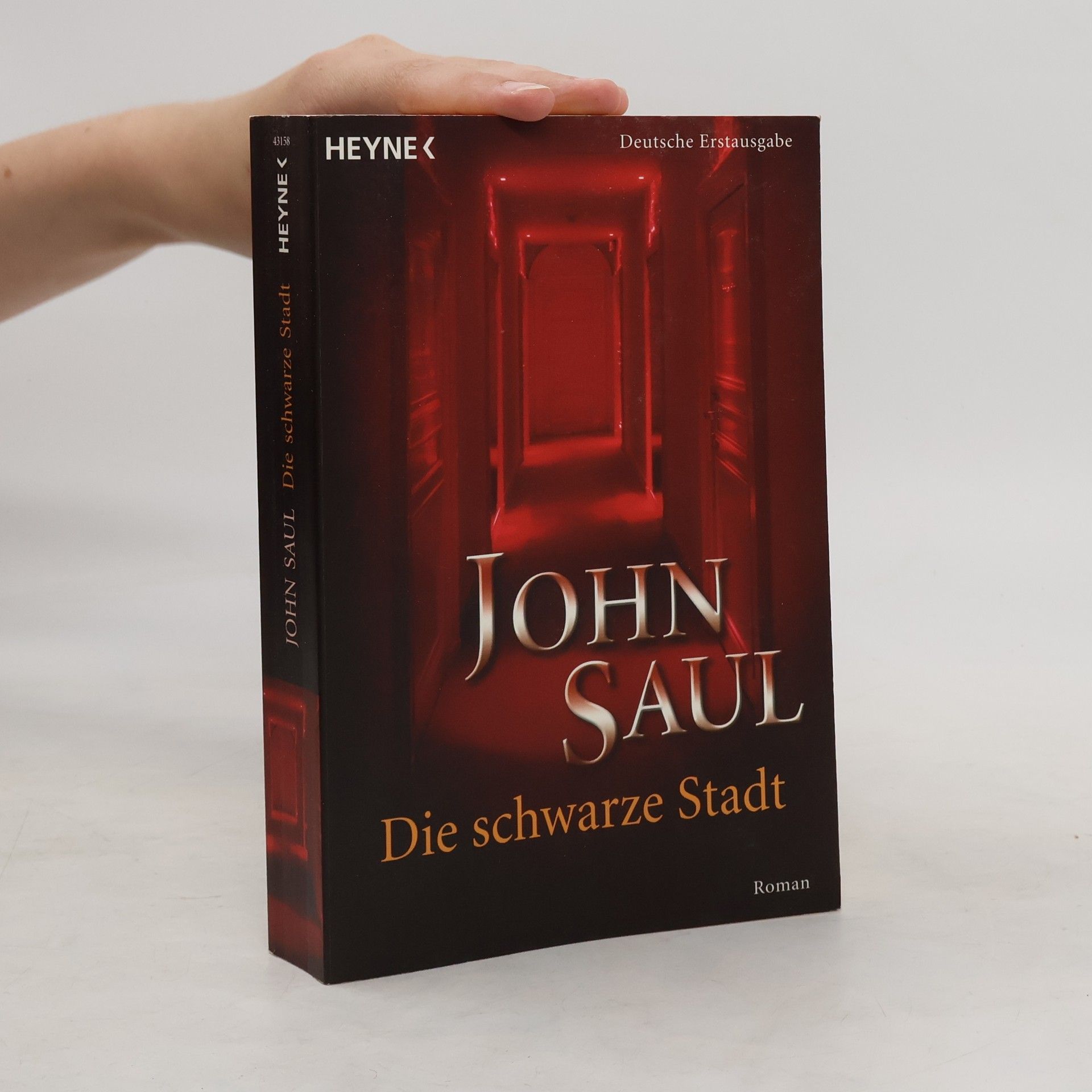 John Saul Die schwarze Stadt