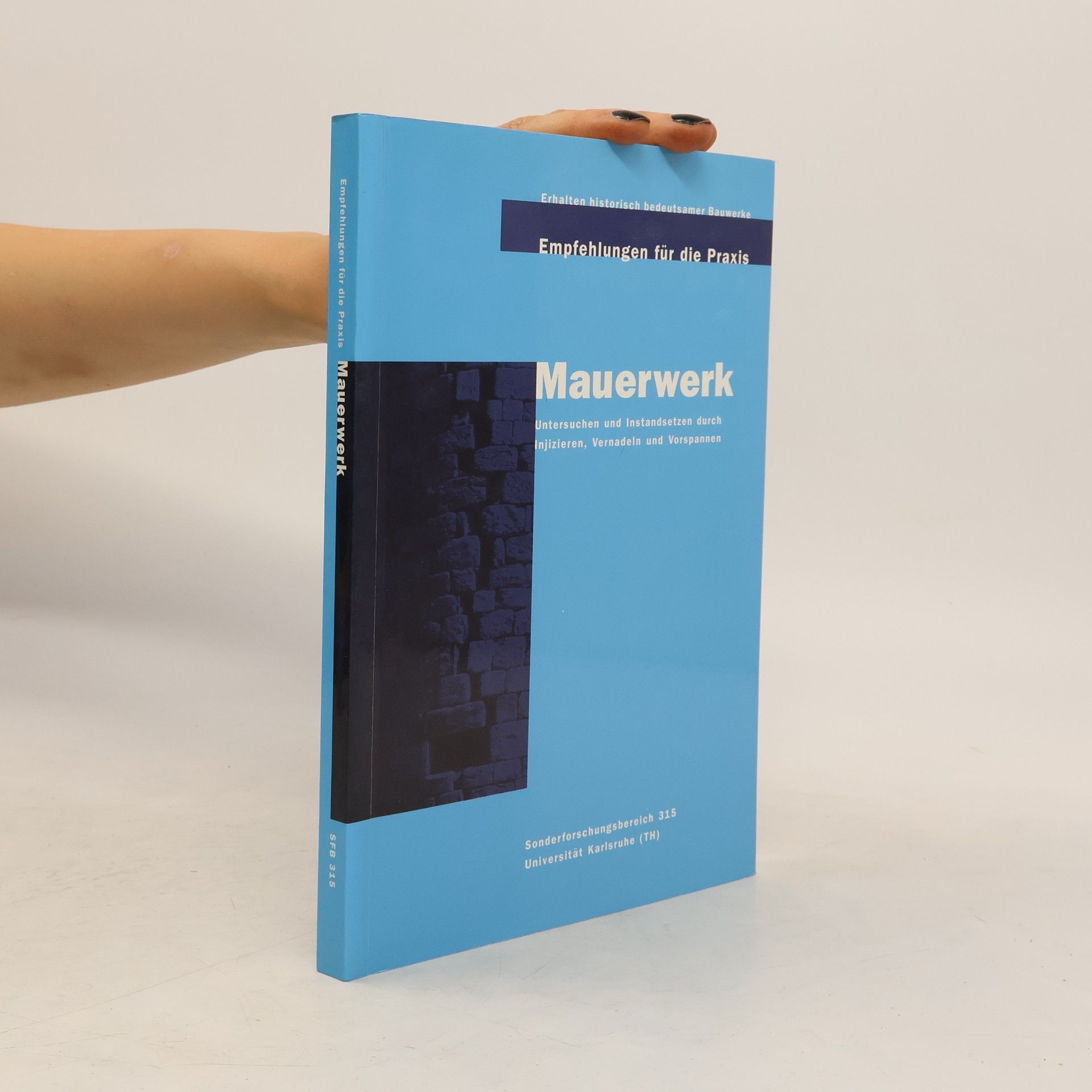 Kolektiv autorů Mauerwerk