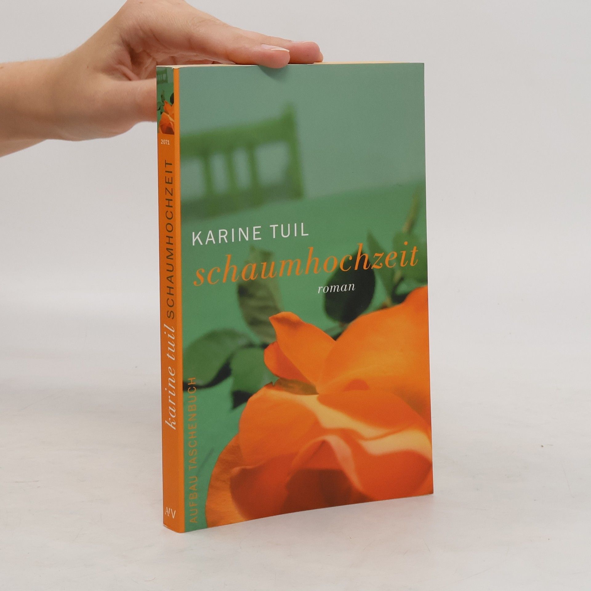 Karine Tuil Schaumhochzeit