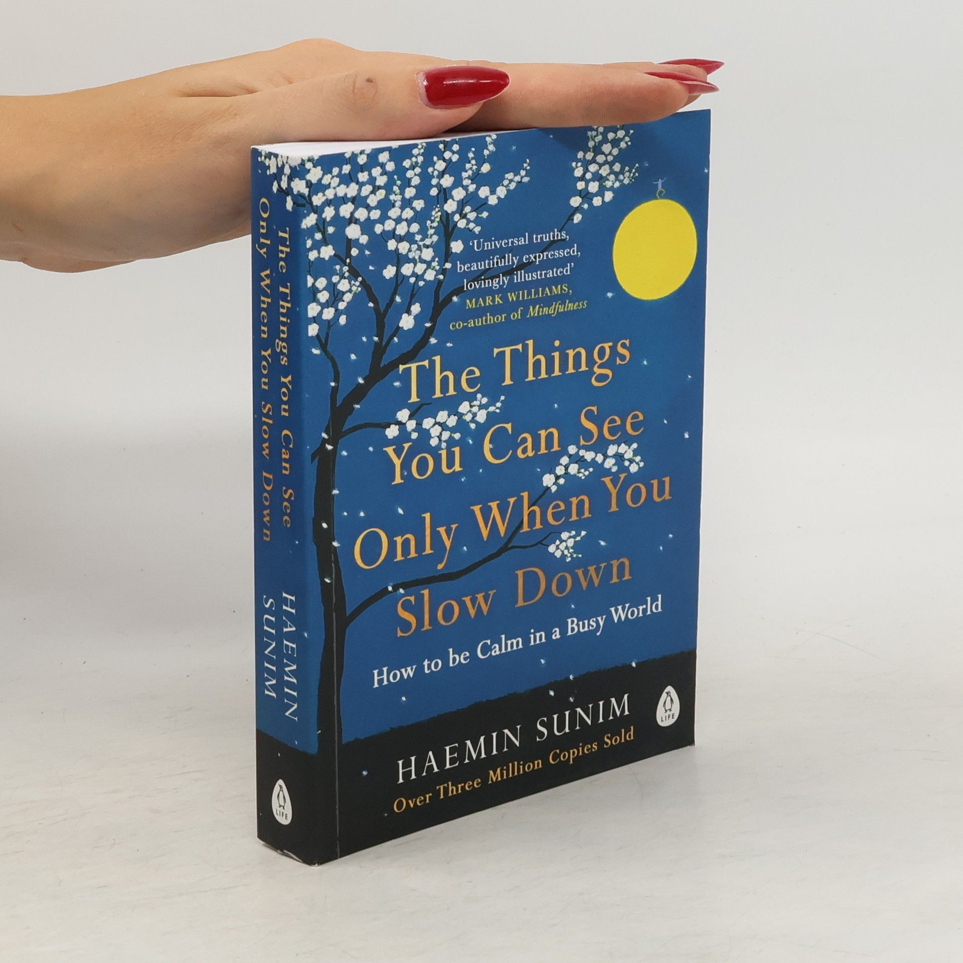 Sunim Haemin The Things You Can See Only When You Slow Down