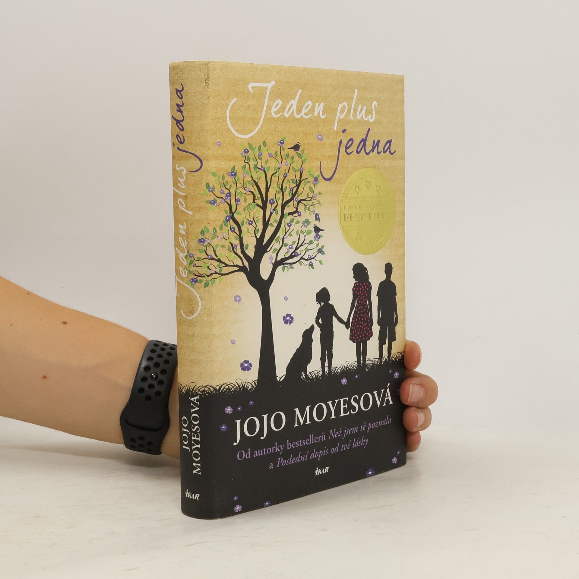 Jojo Moyes Jeden plus jedna