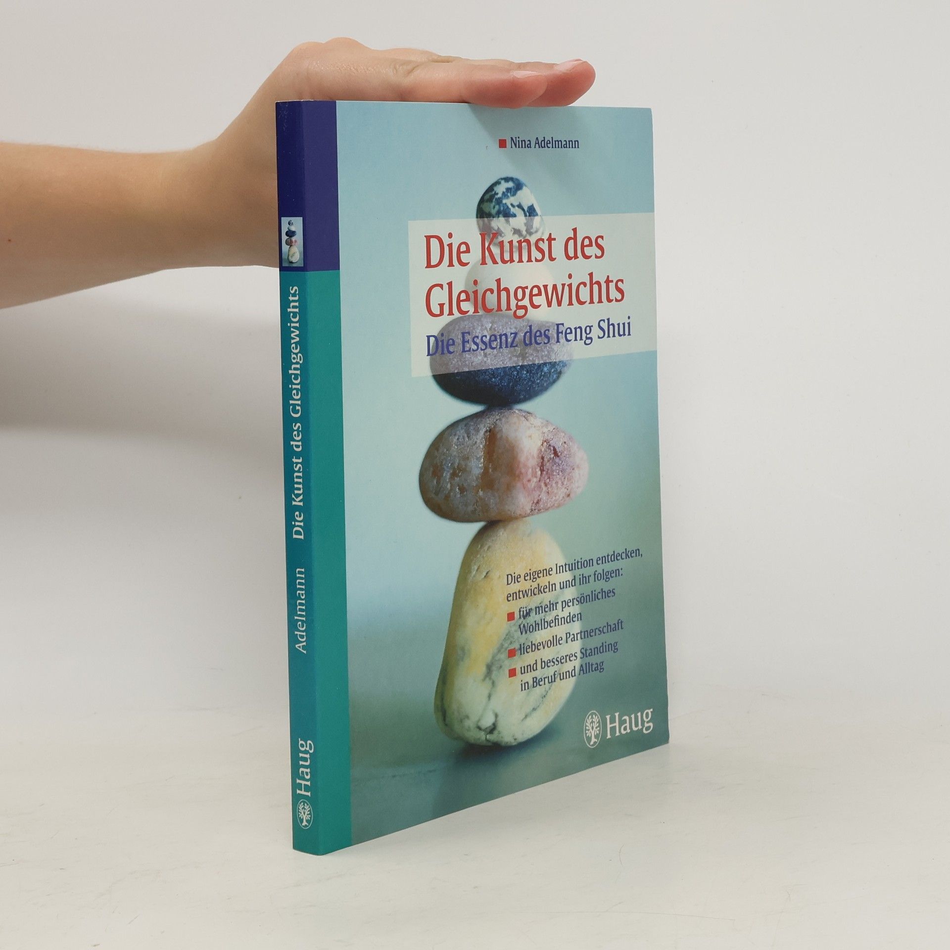 Nina Adelmann Die Kunst des Gleichgewichts