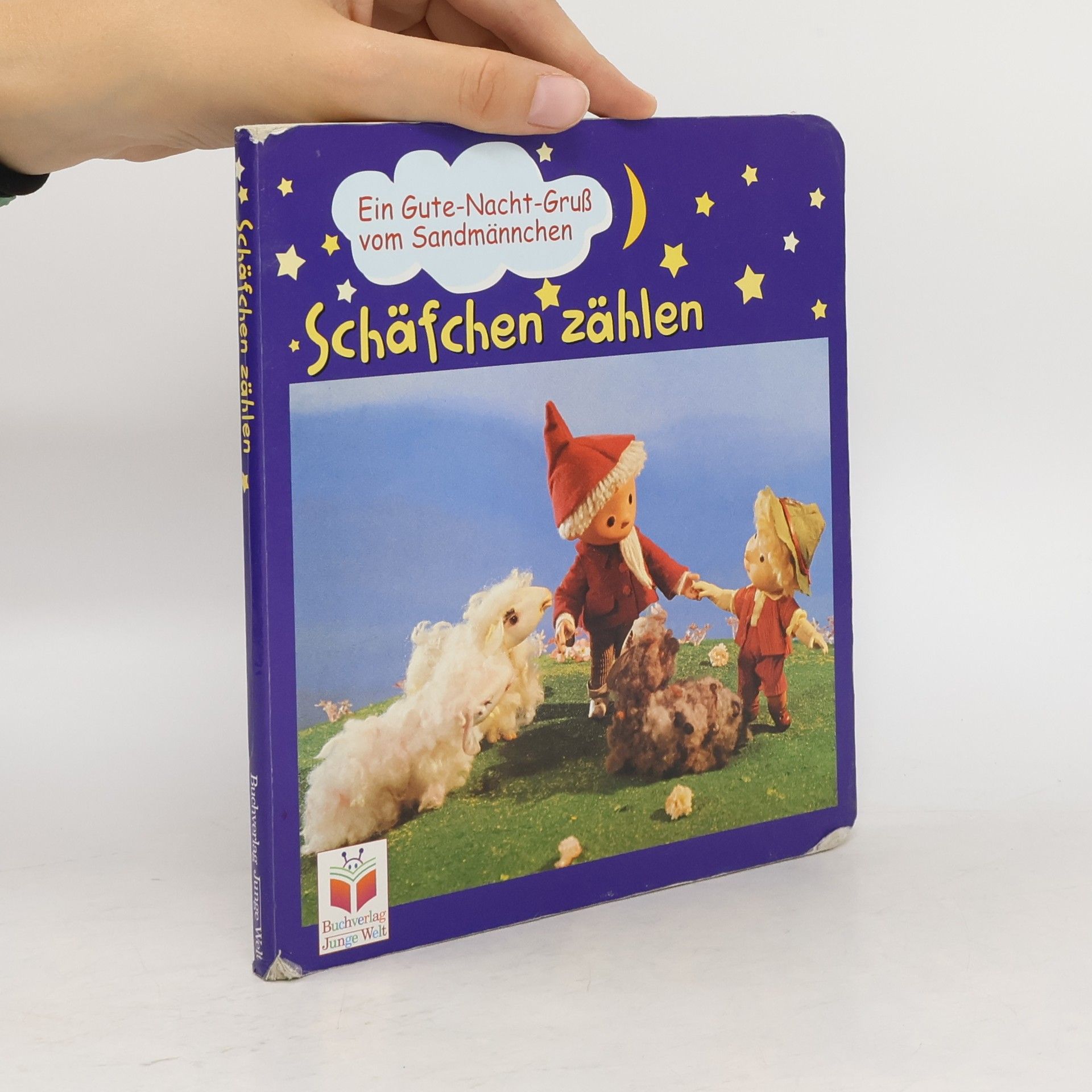 Kolektiv autorů Ein Gute-Nacht-Gruß vom Sandmännchen