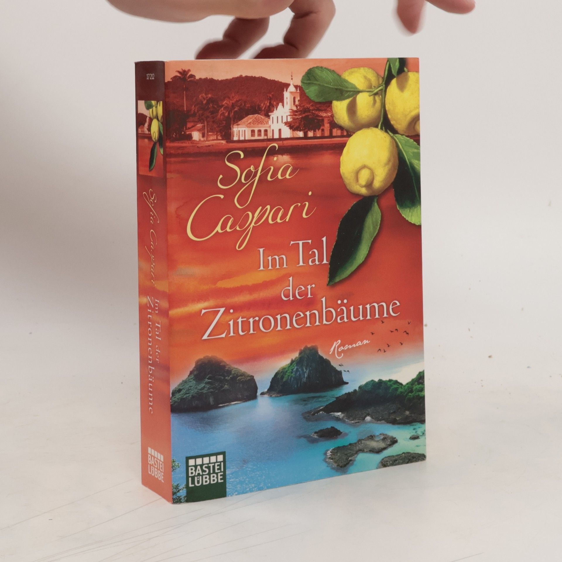 Sofia Caspari Im Tal der Zitronenbäume