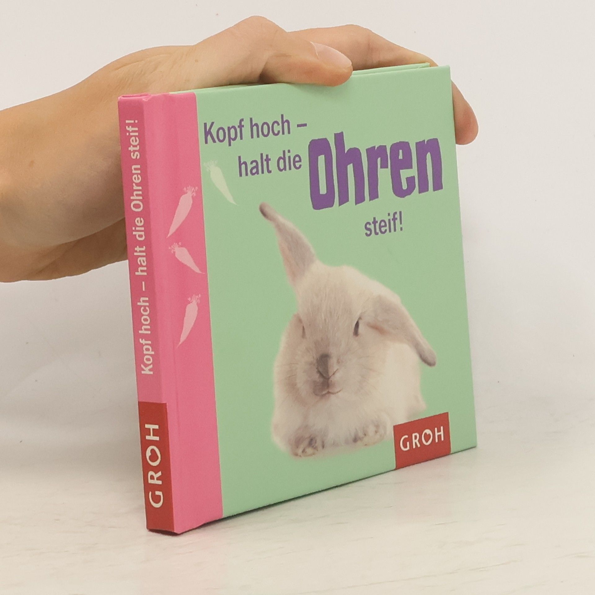 Klara Sophie Lechner Kopf hoch - halt die Ohren steif!
