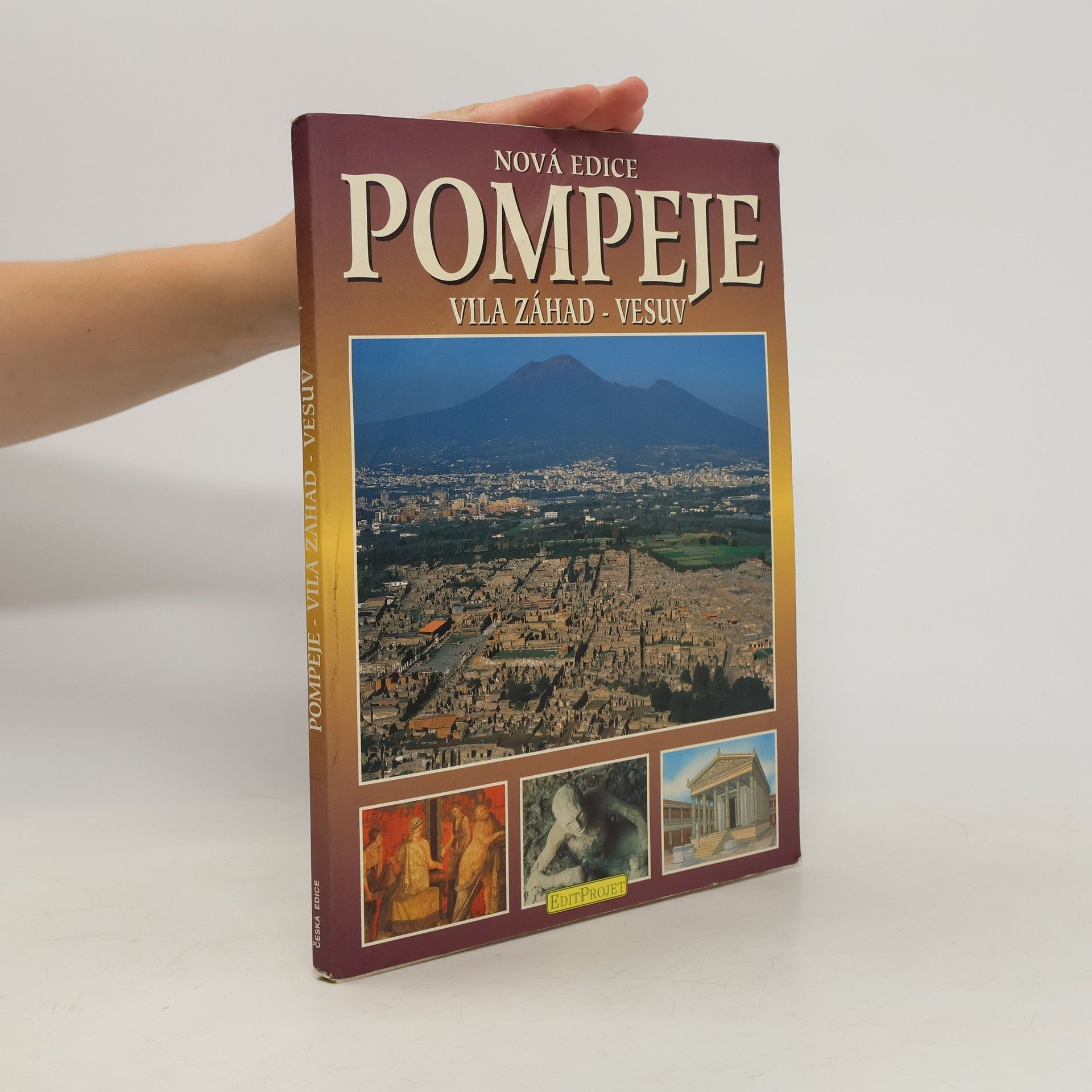 Autorenkollektiv Pompeje : vila záhad - Vesuv