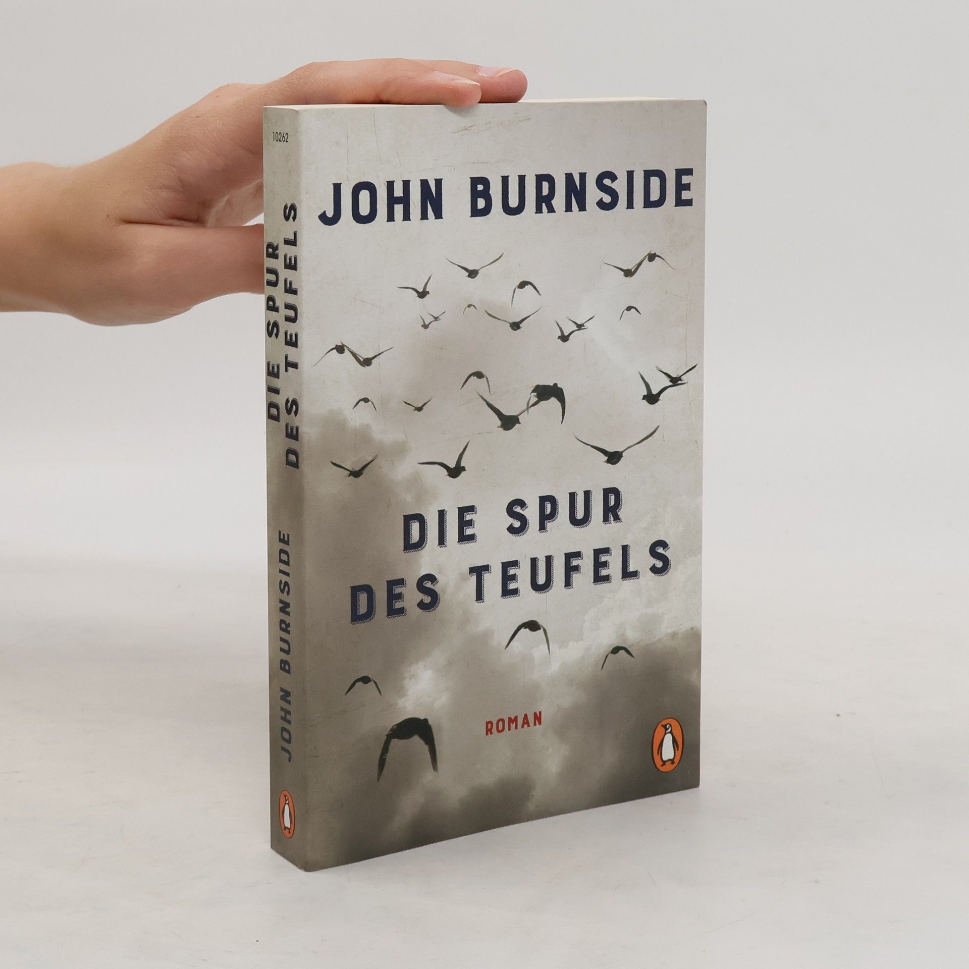 John Burnside Die Spur des Teufels