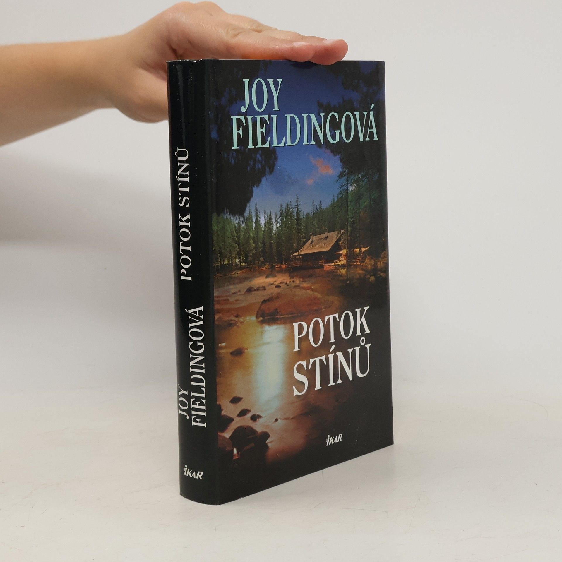 Joy Fielding Potok stínů