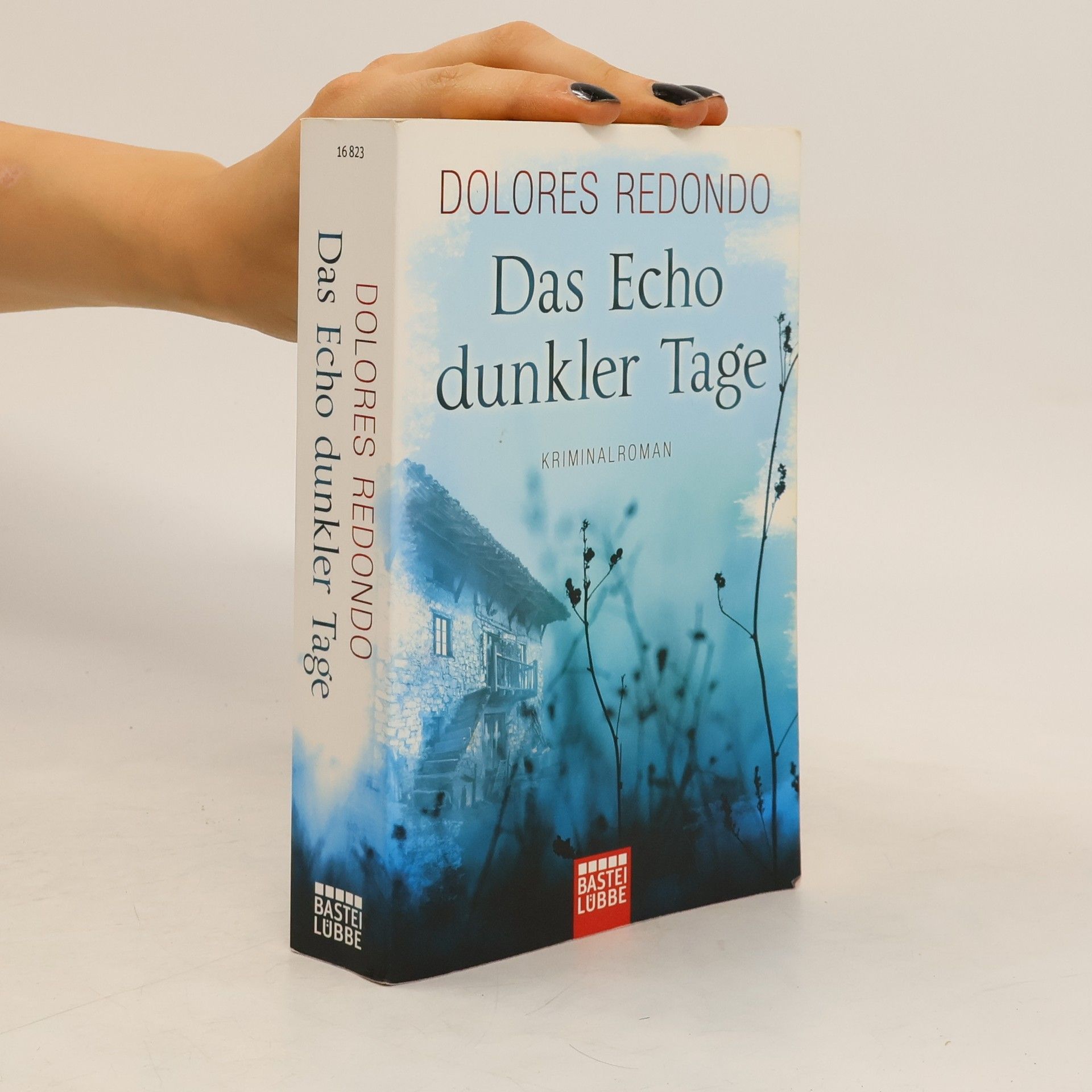 Dolores Redondo Das Echo dunkler Tage