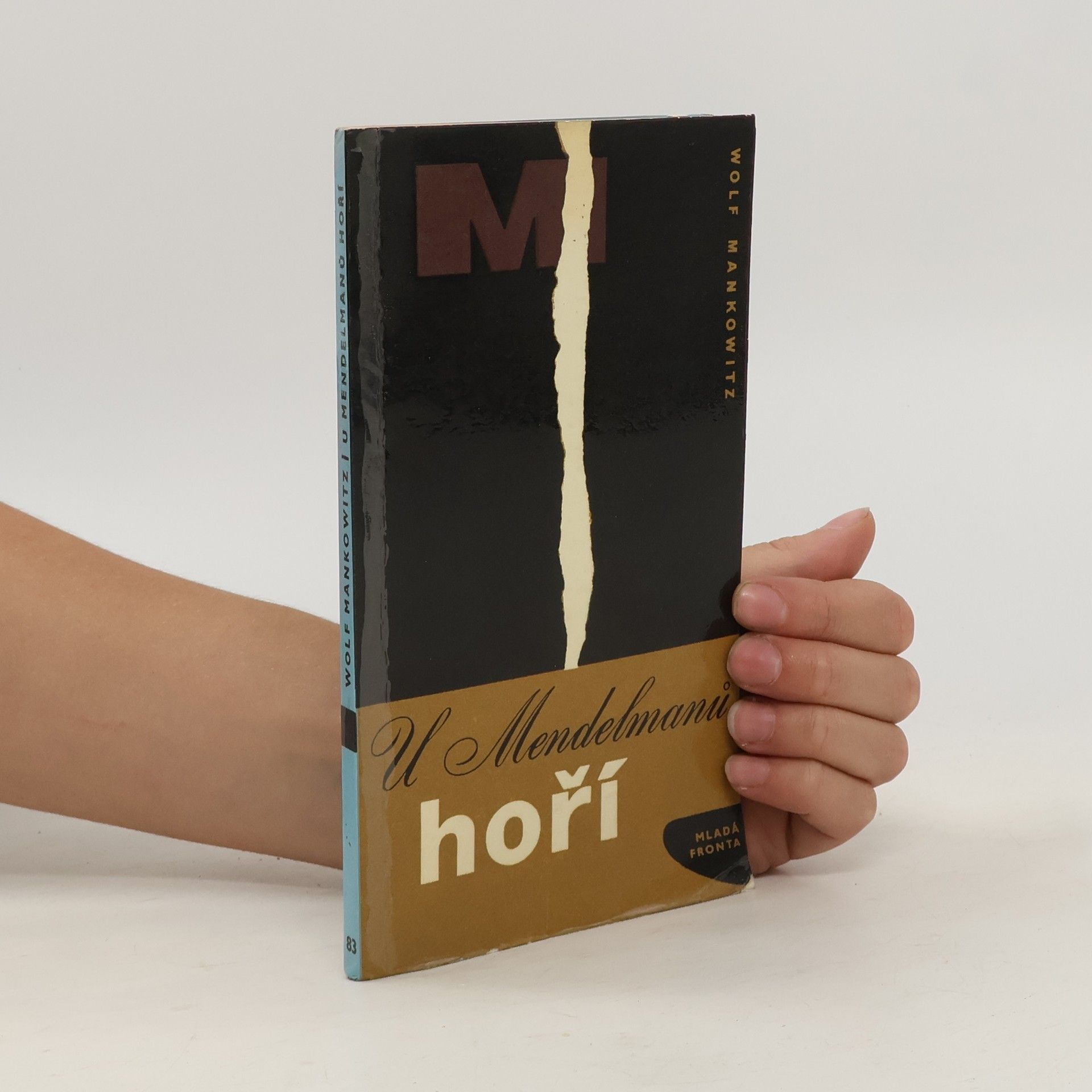 Wolf Mankowitz U Mendelmanů hoří