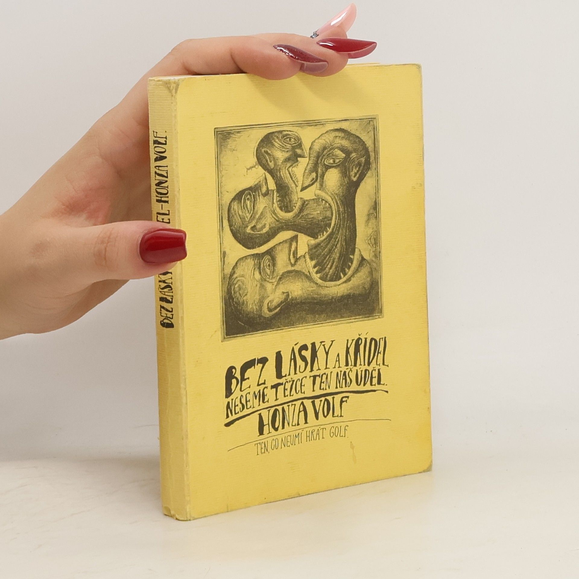 Honza Volf Bez lásky a křídel neseme těžce ten náš úděl
