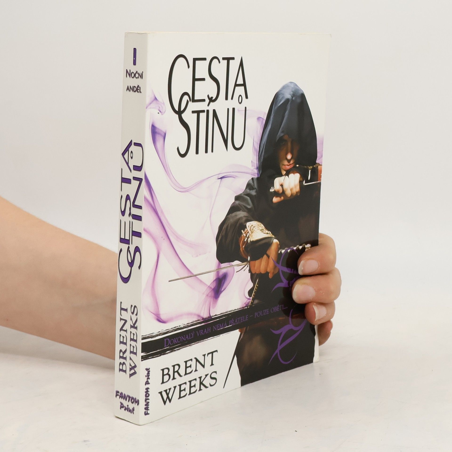 Brent Weeks Cesta stínů