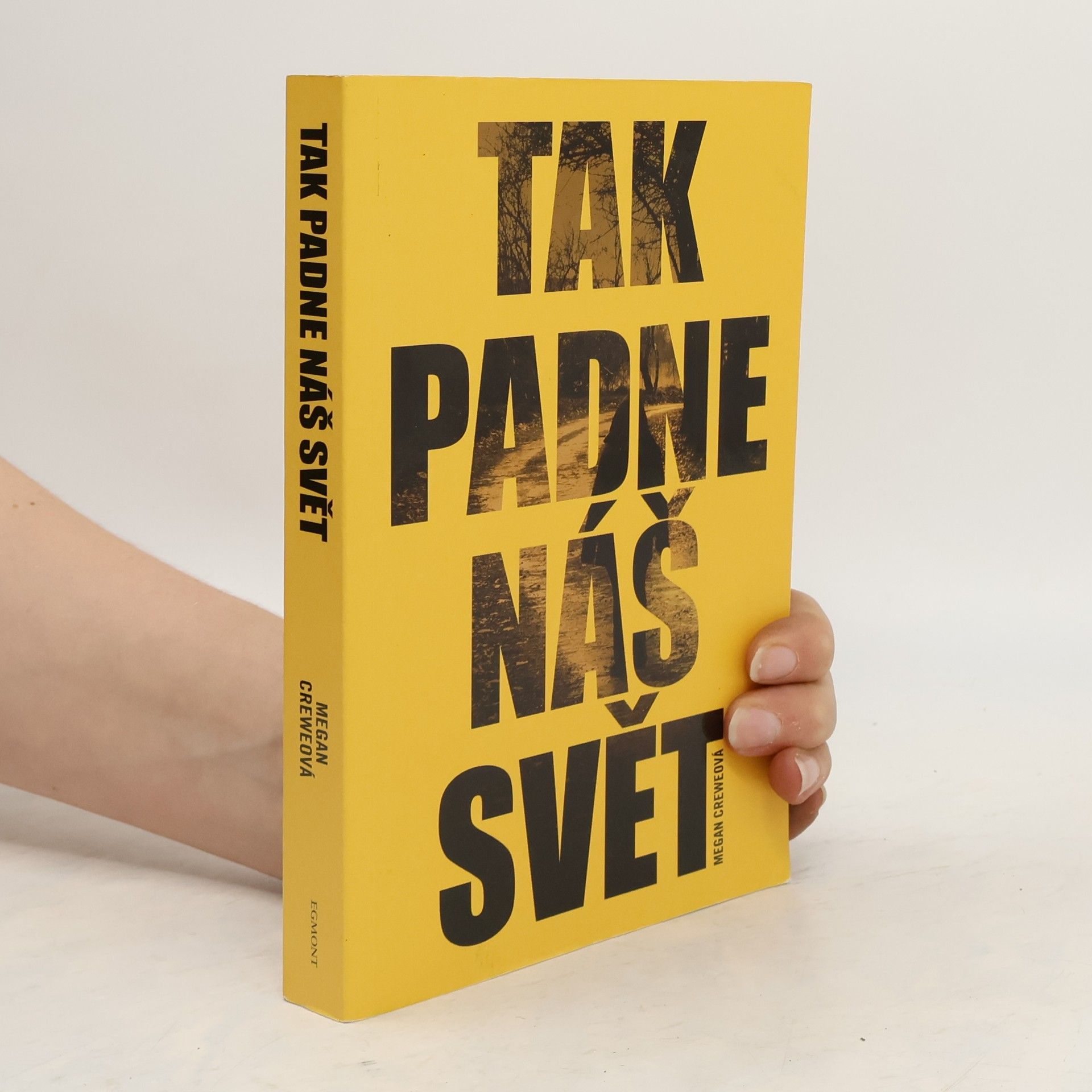 Megan Crewe Tak padne náš svět