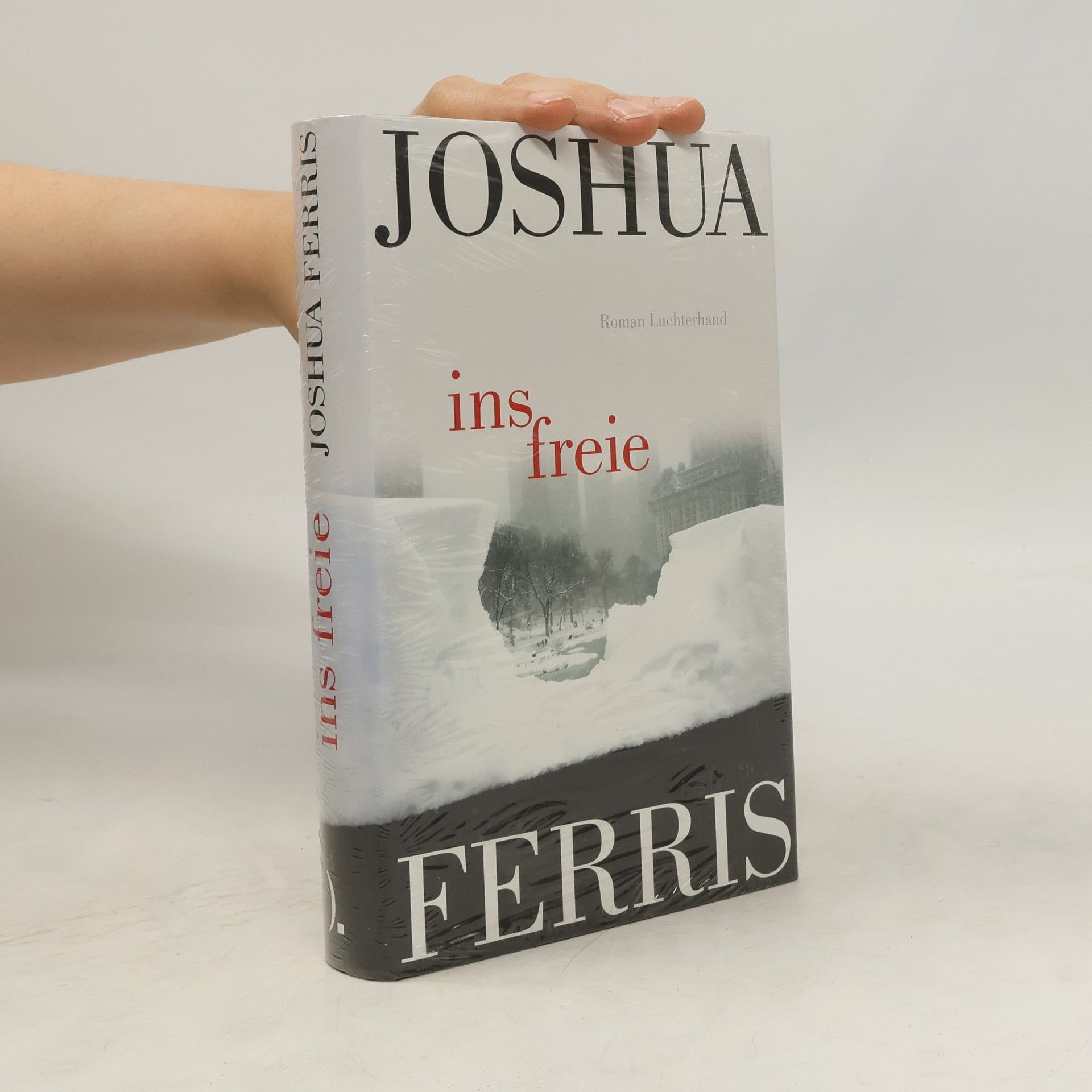 Joshua Ferris Ins Freie
