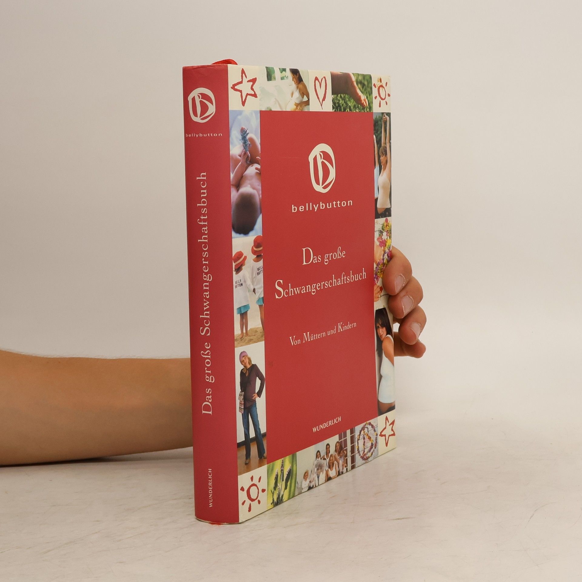 Marion Appel Schiefer Das grosse Schwangerschaftsbuch