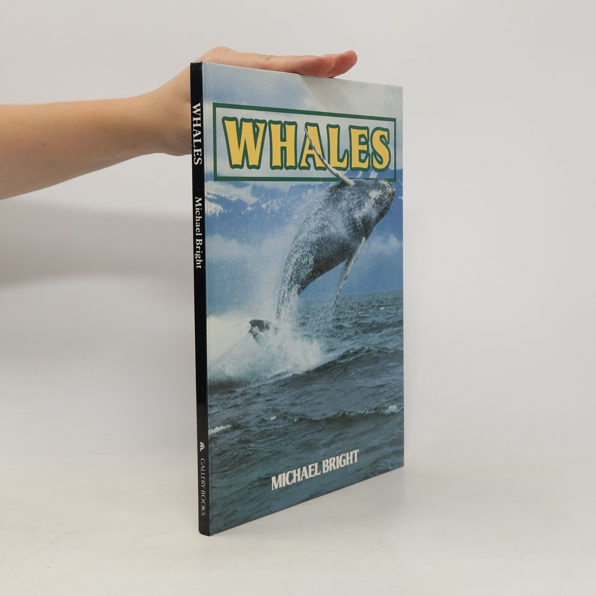 Michael Bright Whales