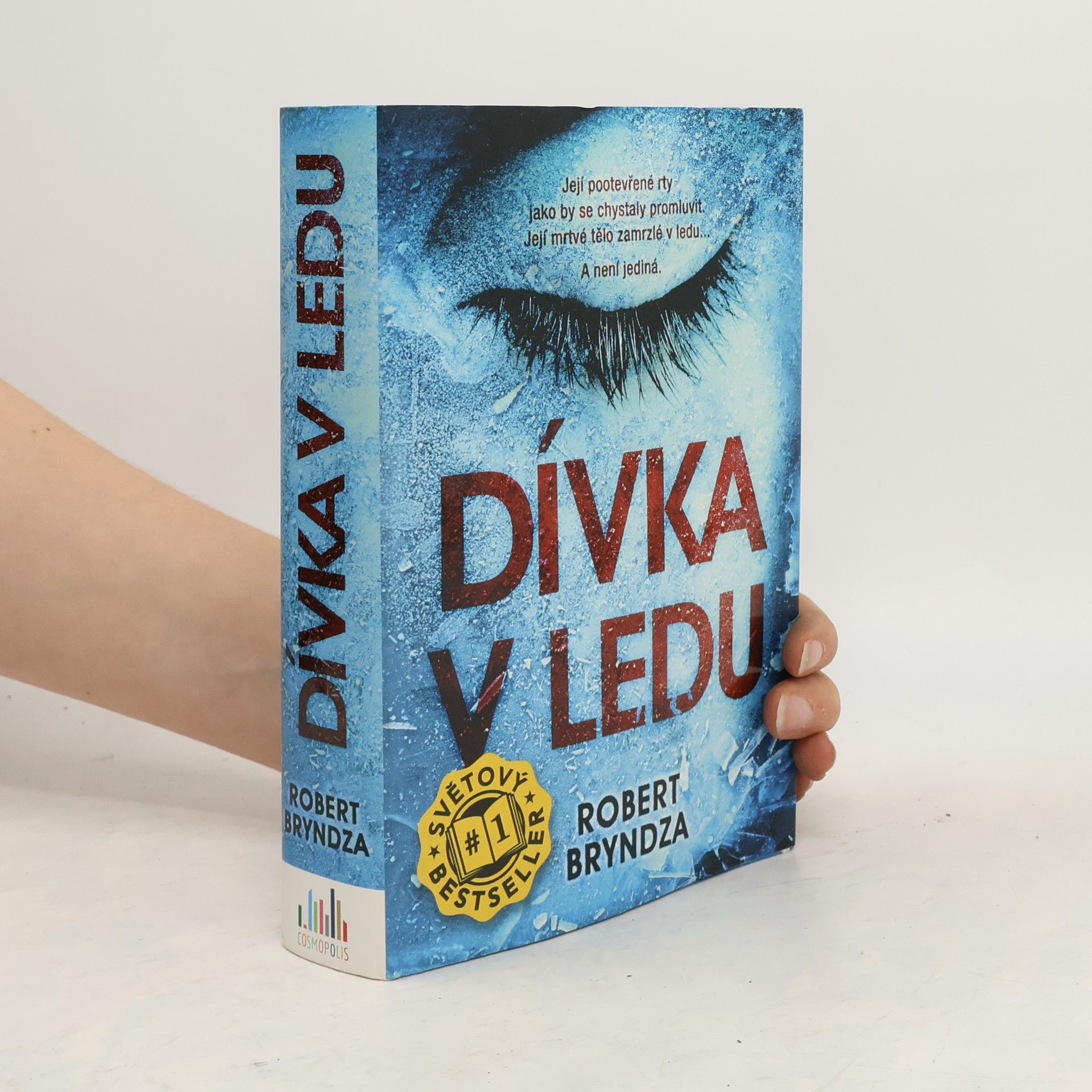 Robert Bryndza Dívka v ledu