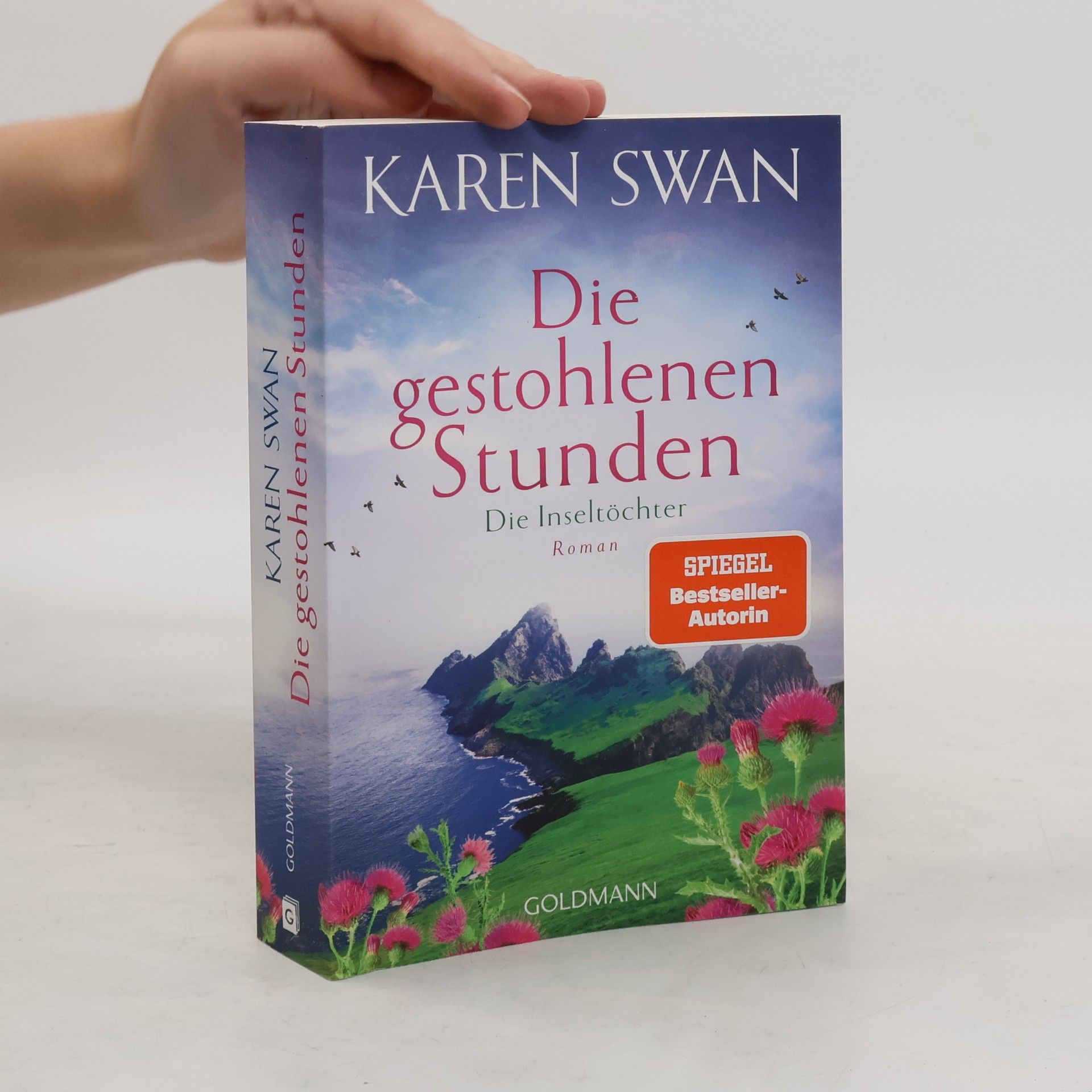 Karen Swan Die Inseltöchter - Die gestohlenen Stunden. Roman
