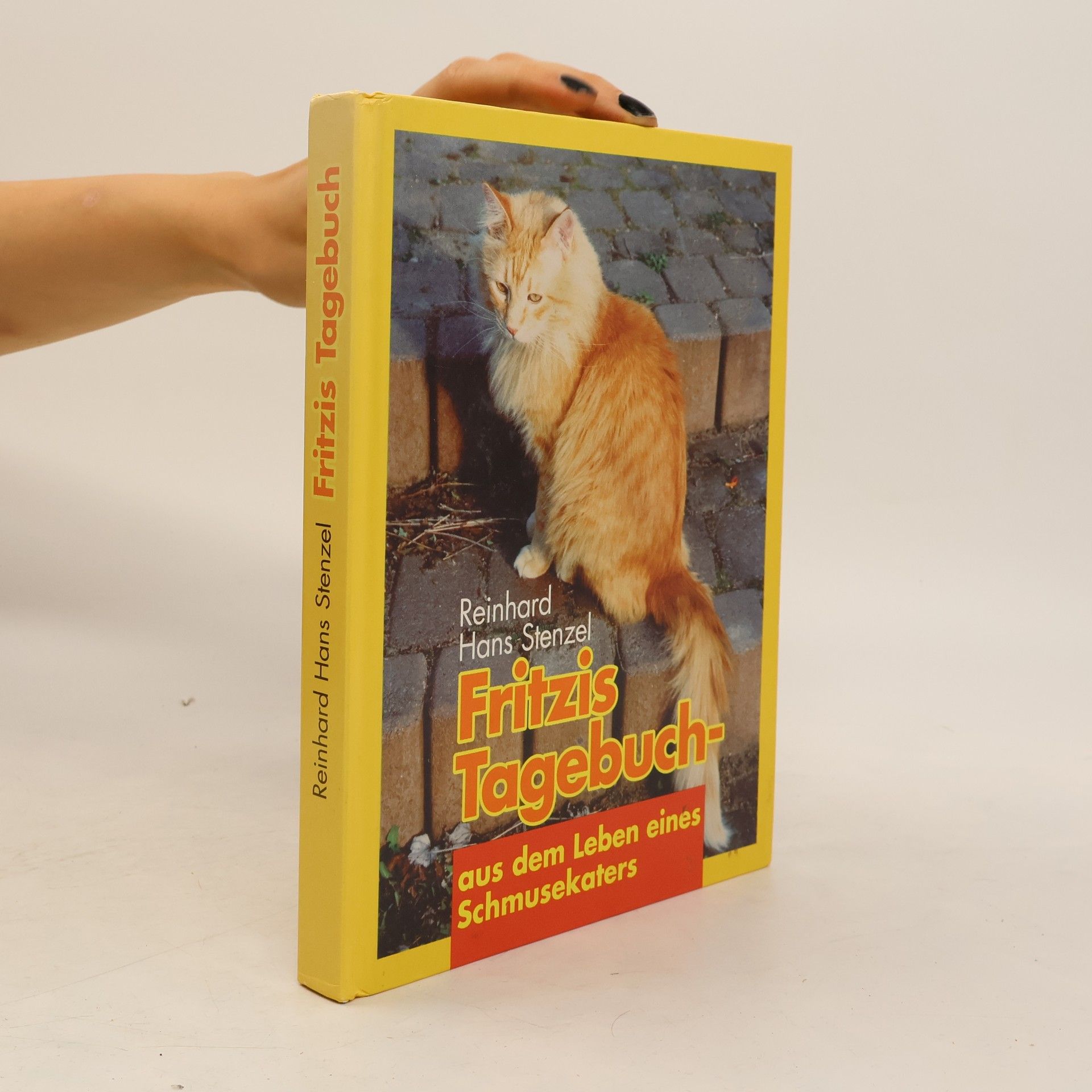 Reinhard Hans Stenzel Fritzis Tagebuch