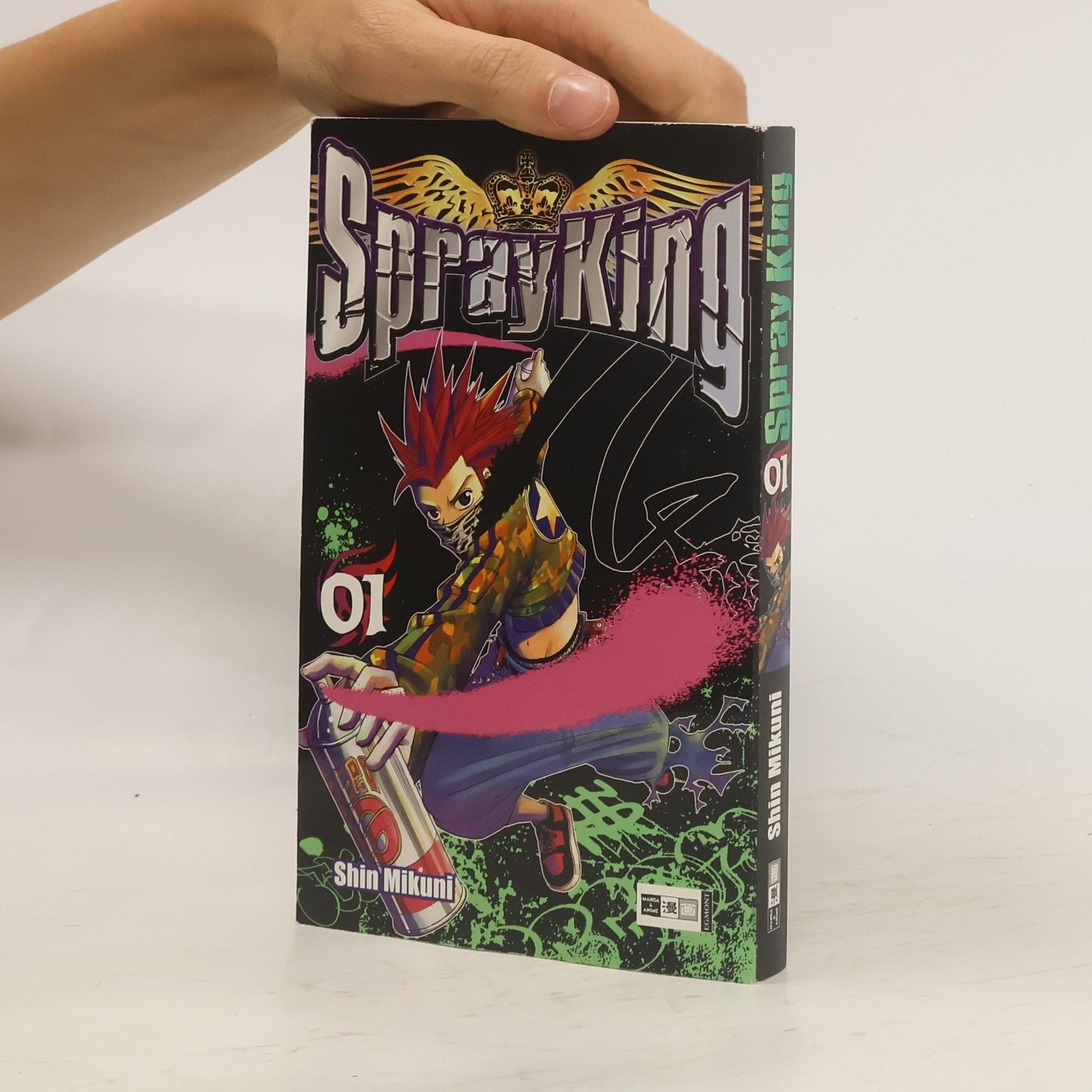 Kolektiv autorů Spray king