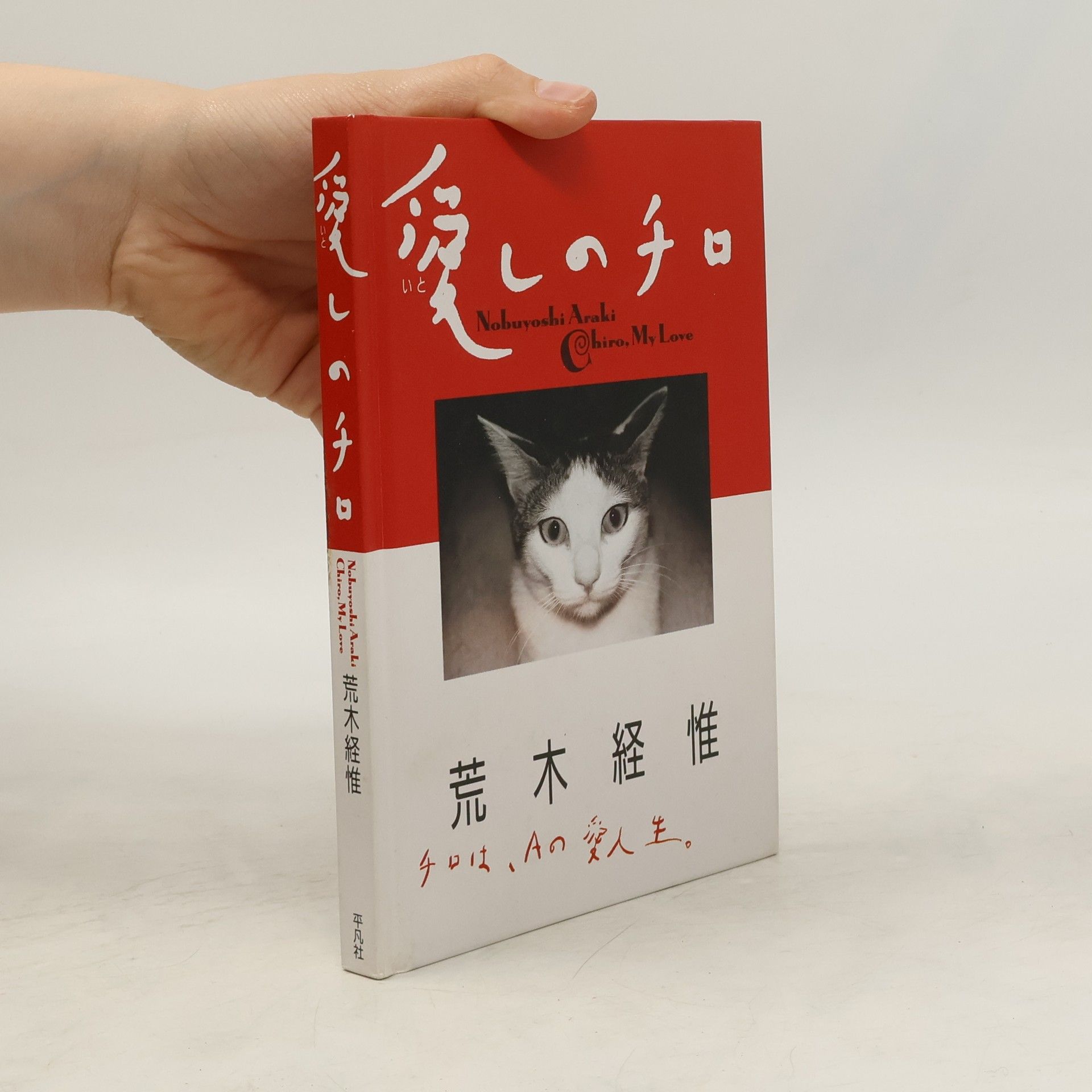 Nobuyoshi Araki Chiro, My Love