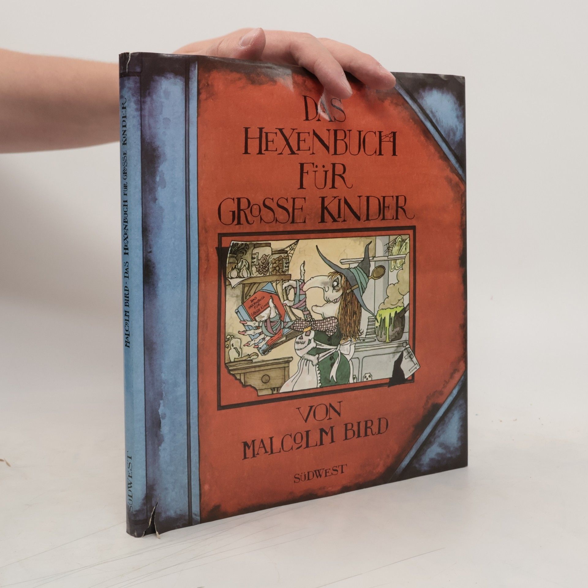 Malcolm Bird Das Hexenbuch für große Kinder