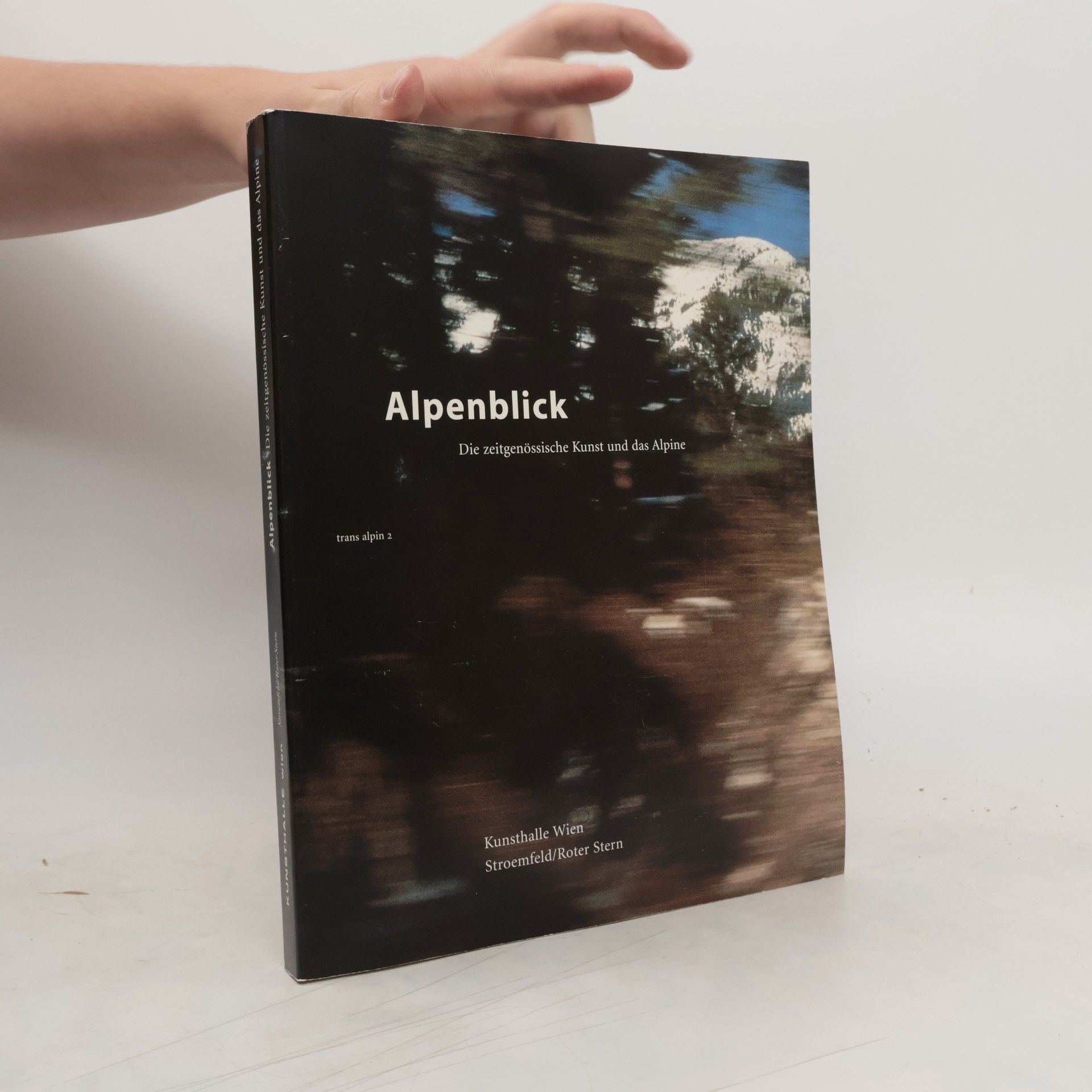 AA.VV. Alpenblick: Die zeitgenössische Kunst und das Alpine