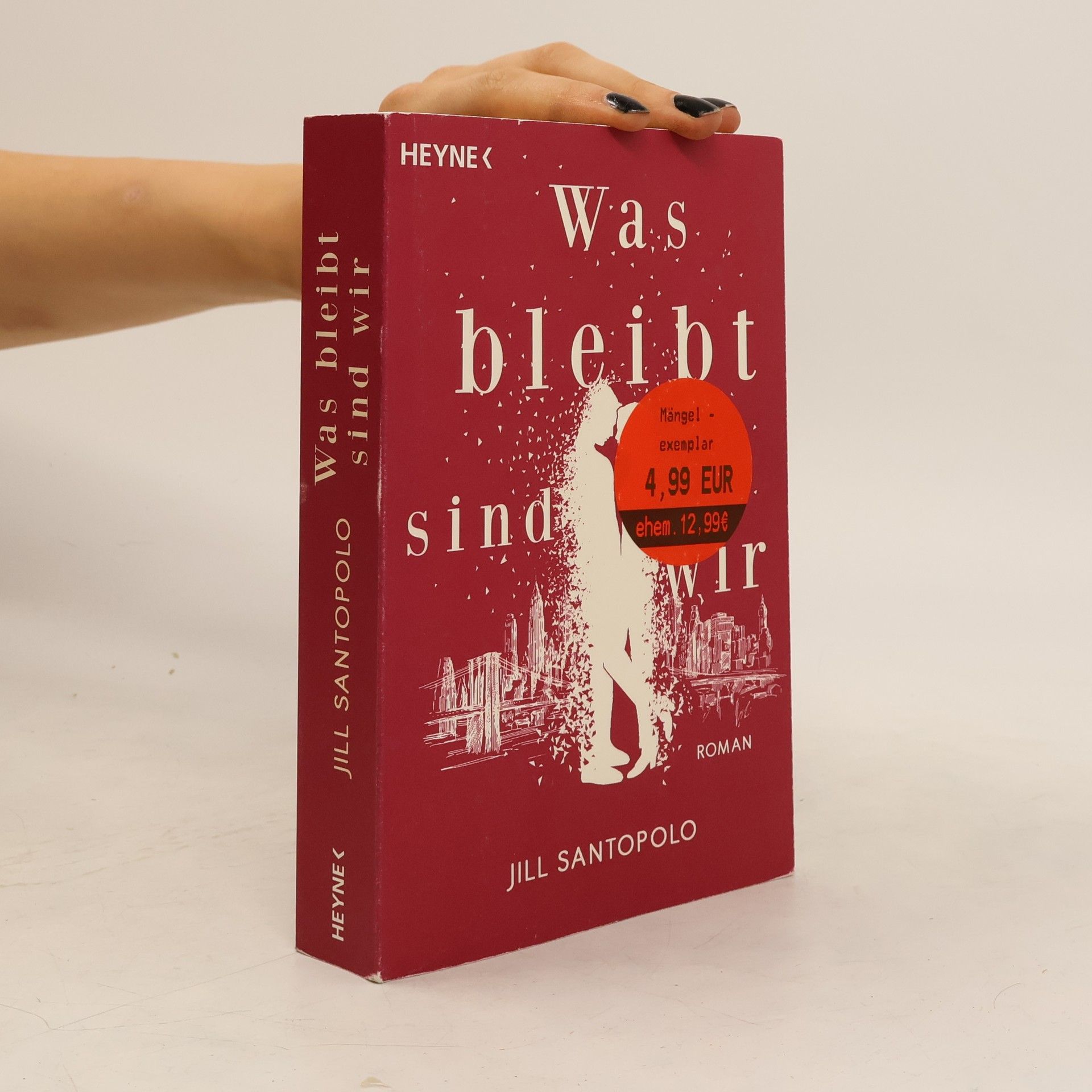 Jill Santopolo Was bleibt, sind wir