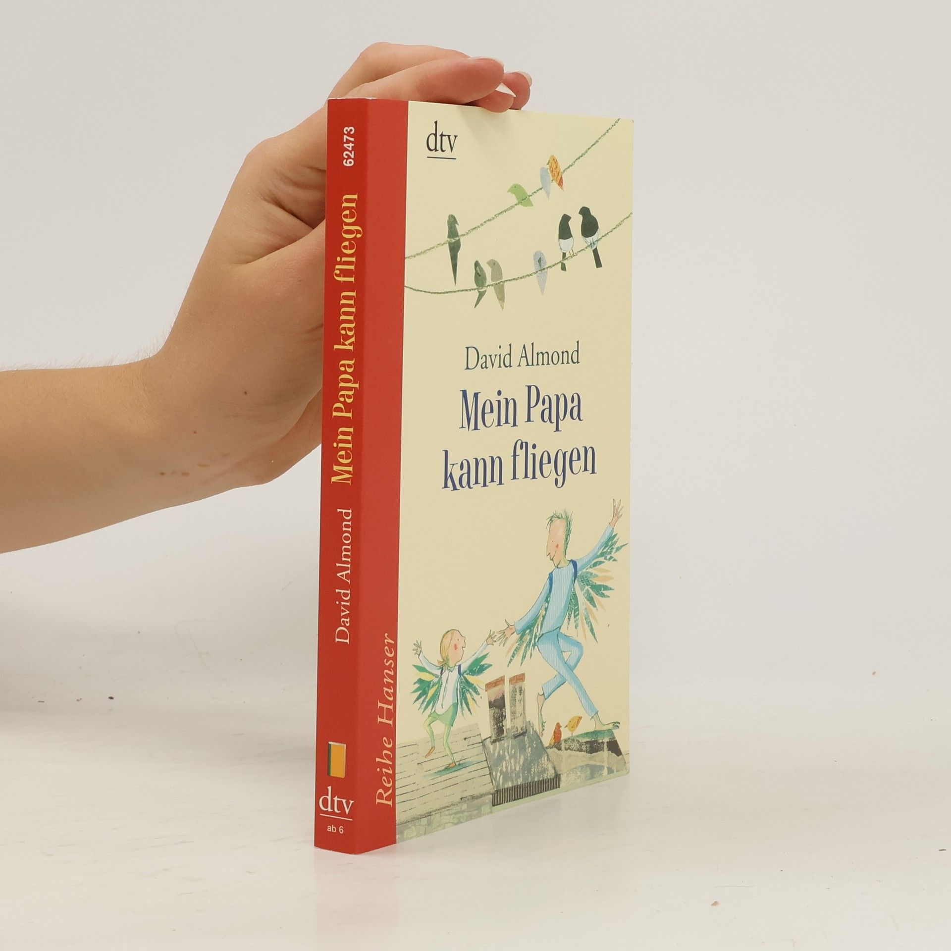 David Almond Mein Papa kann fliegen