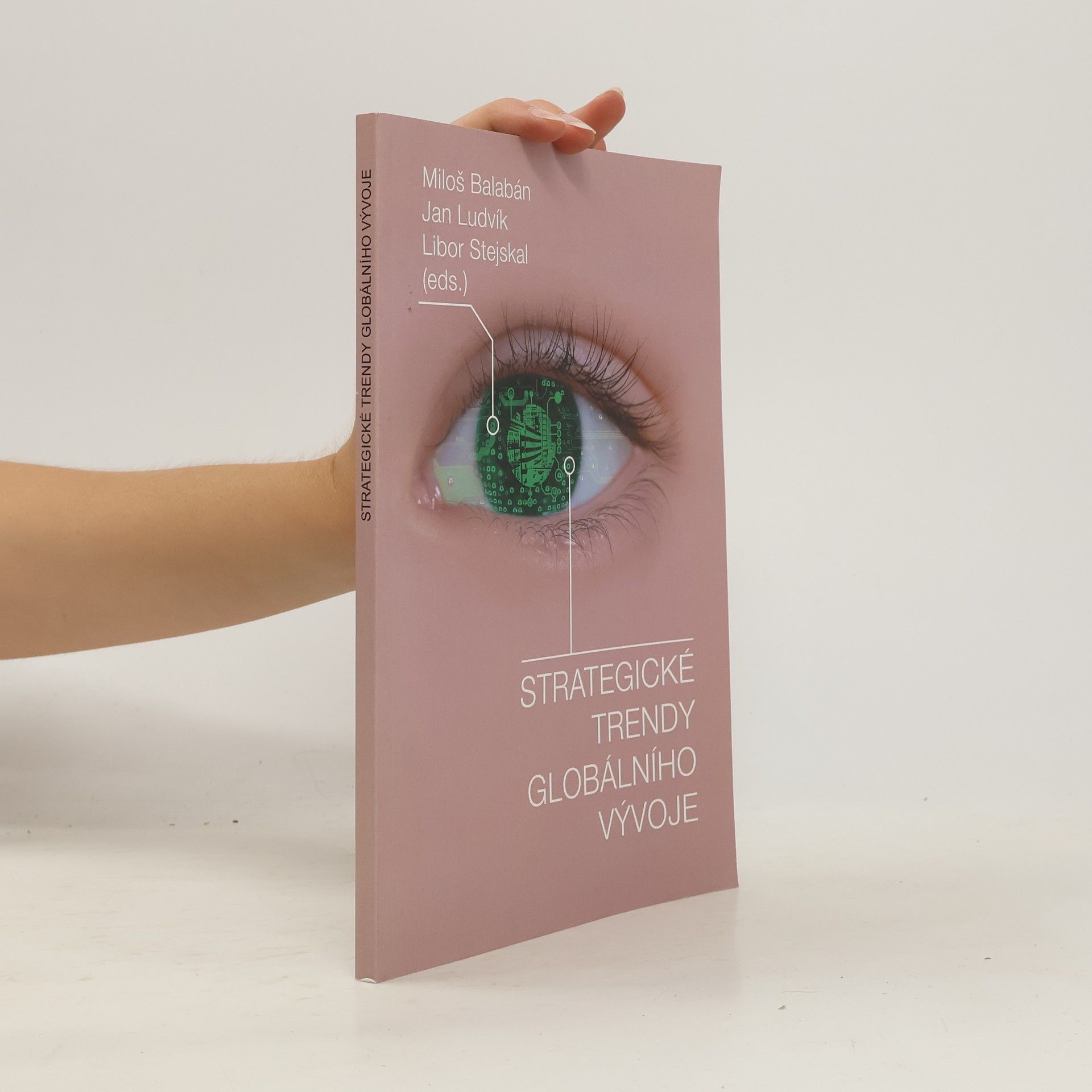 Kolektiv autorů Strategické trendy globálního vývoje