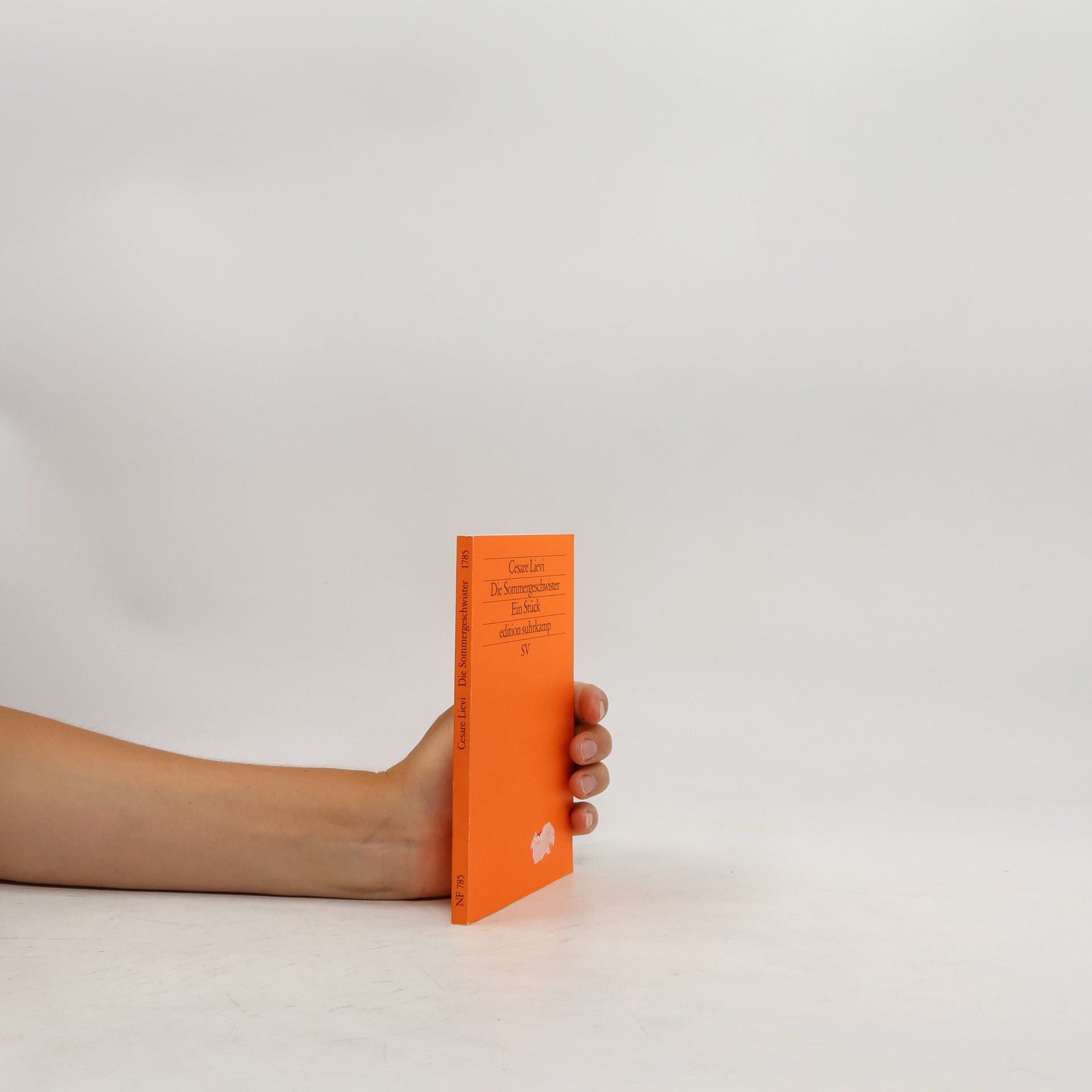 Cesare Lievi Die Sommergeschwister