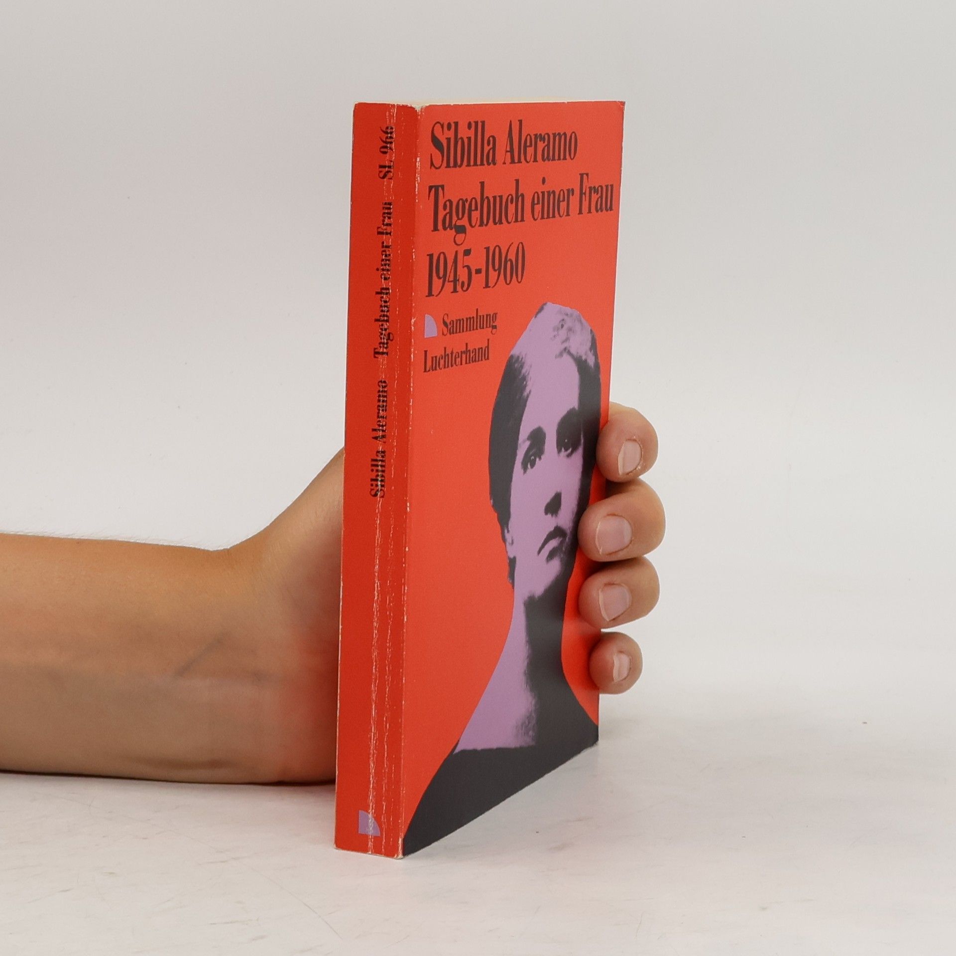 Sibilla Aleramo Tagebuch einer Frau 1945-1960