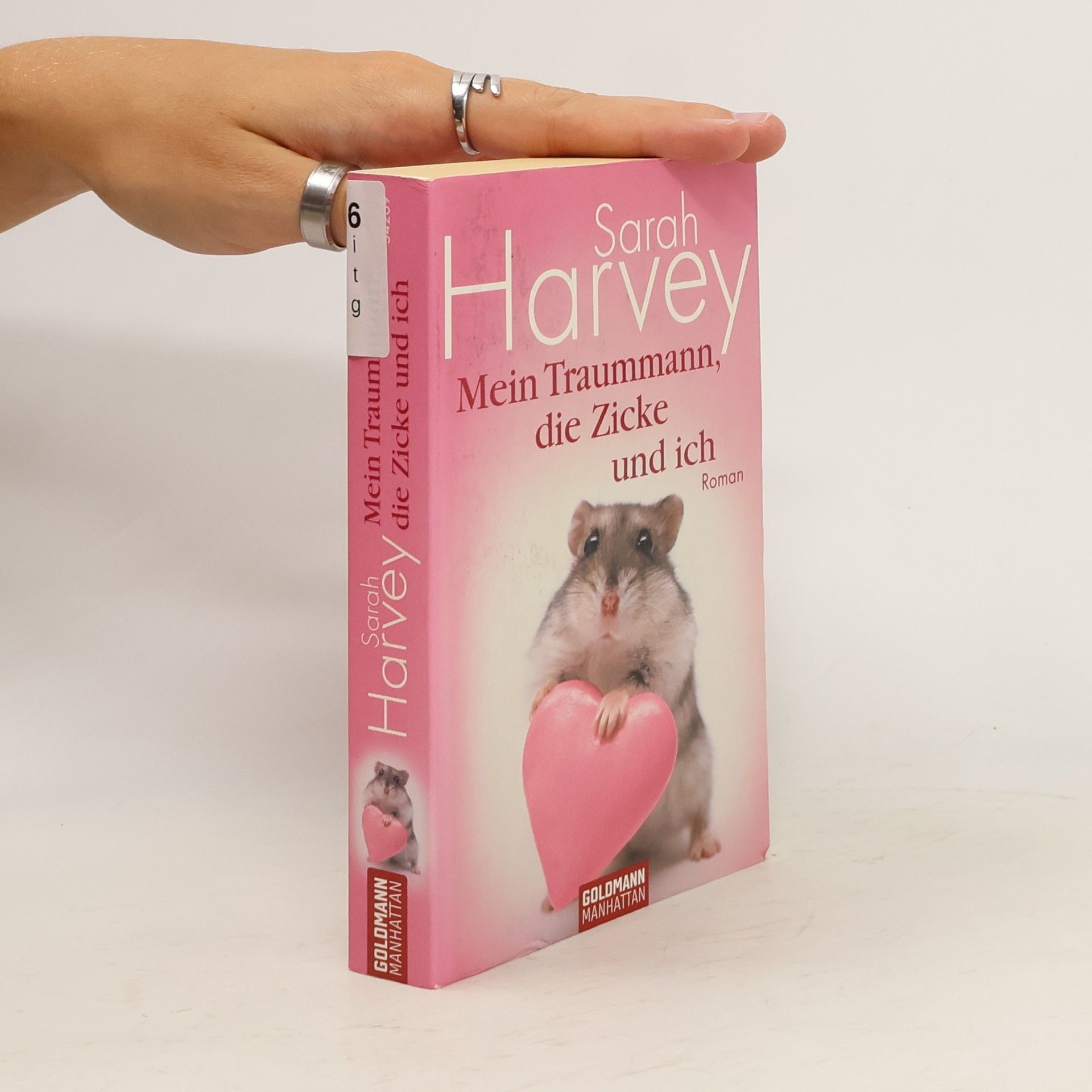 Sarah Harvey Mein Traummann, die Zicke und ich