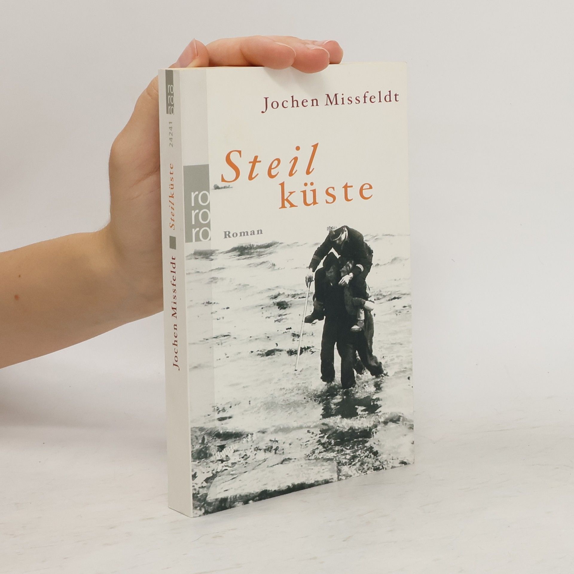 Jochen Missfeldt Steilküste