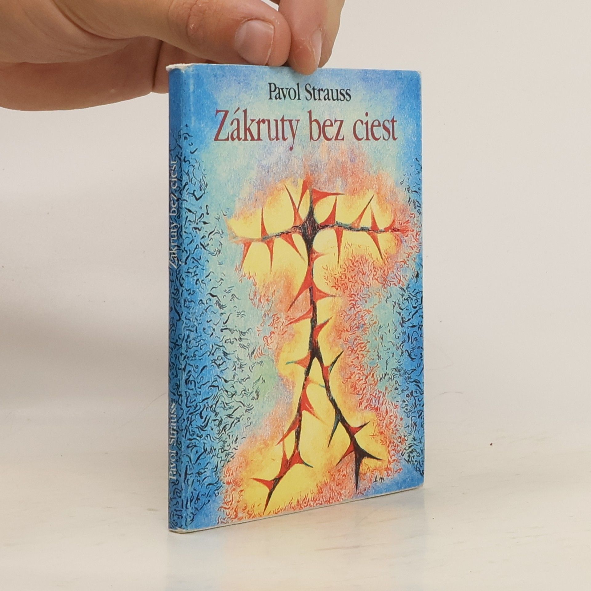 Pavol Strauss Zákruty bez ciest