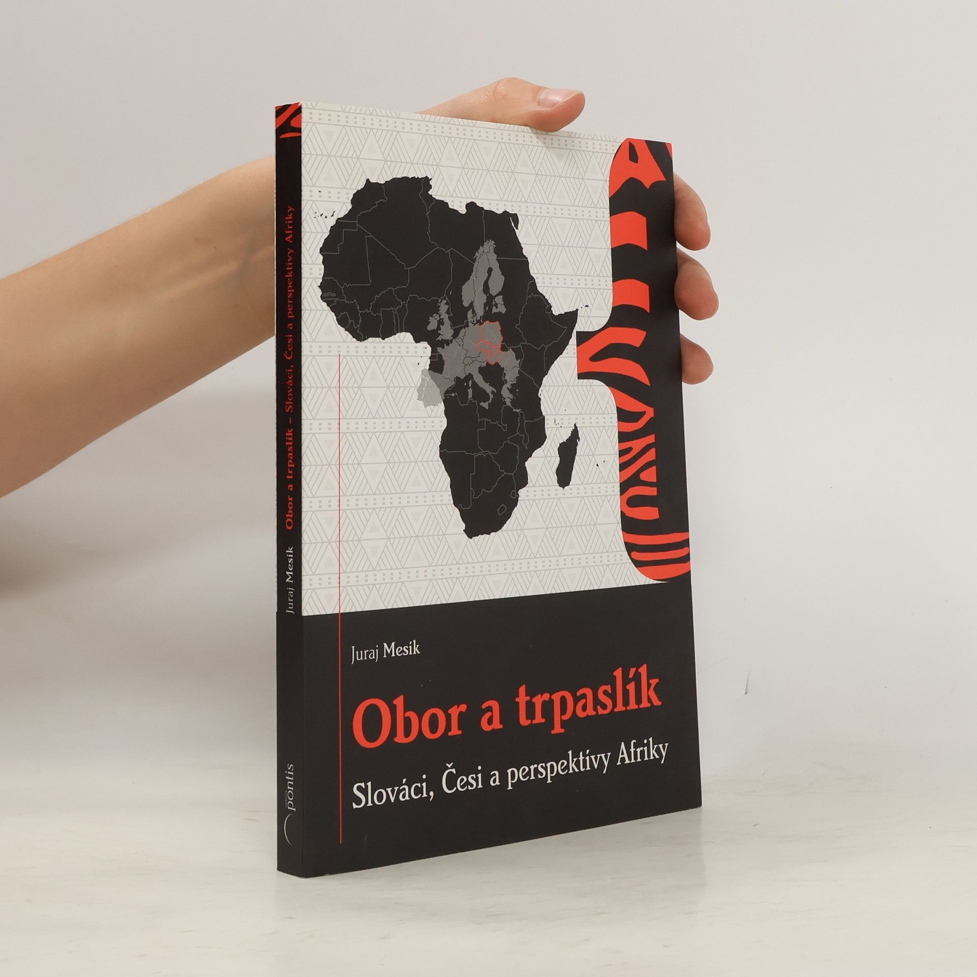 Obor a trpaslík : Slováci, Česi a perspektívy Afriky