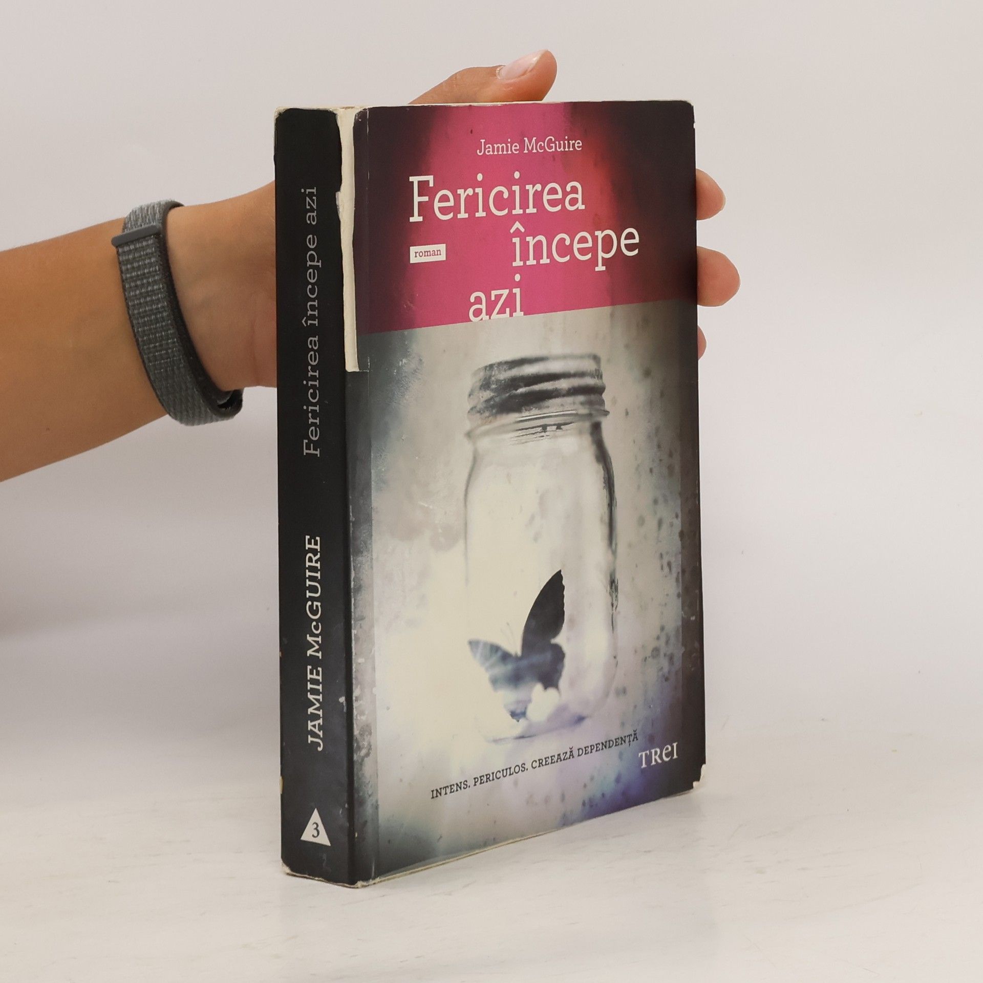 Jamie McGuire Fericirea începe azi