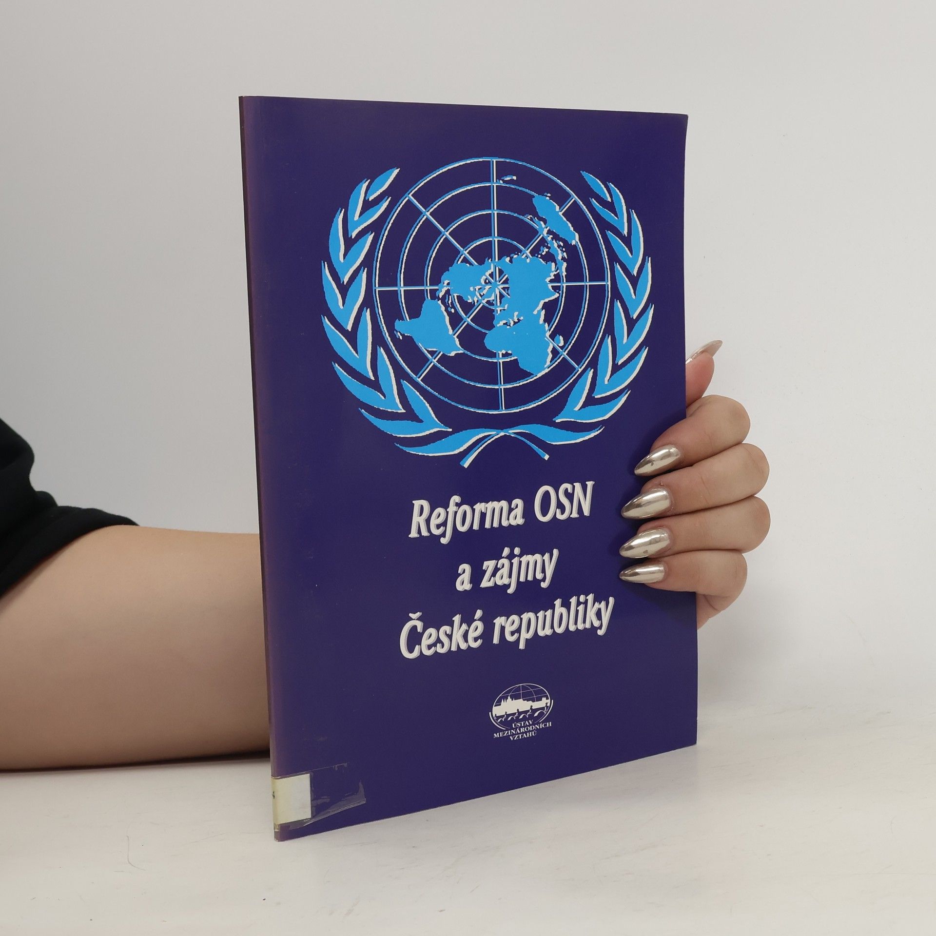 Radek Khol Reforma OSN a zájmy České republiky
