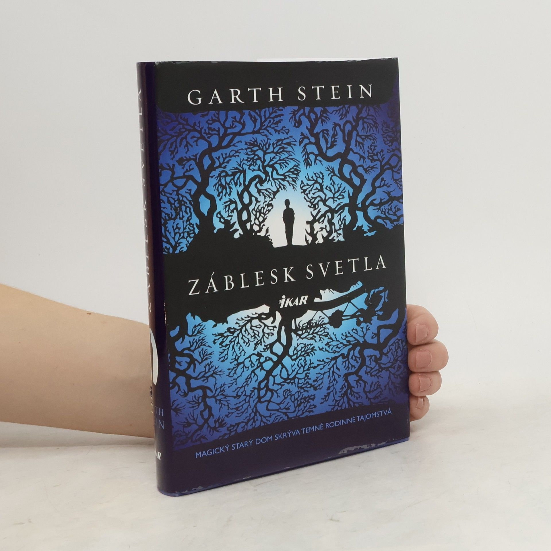 Garth Stein Záblesk svetla