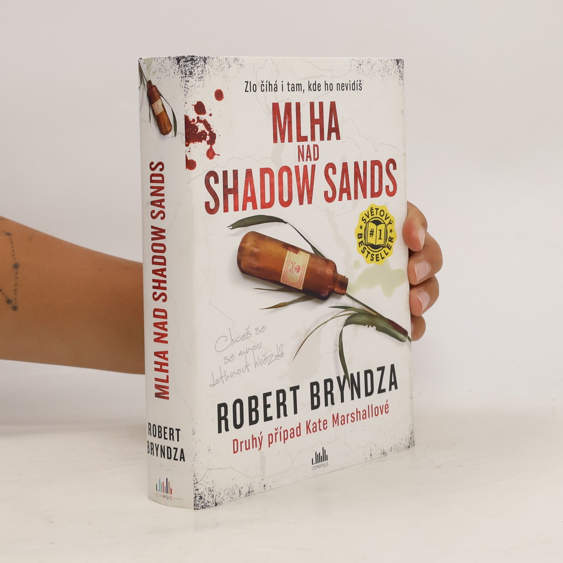 Robert Bryndza Mlha nad Shadow Sands