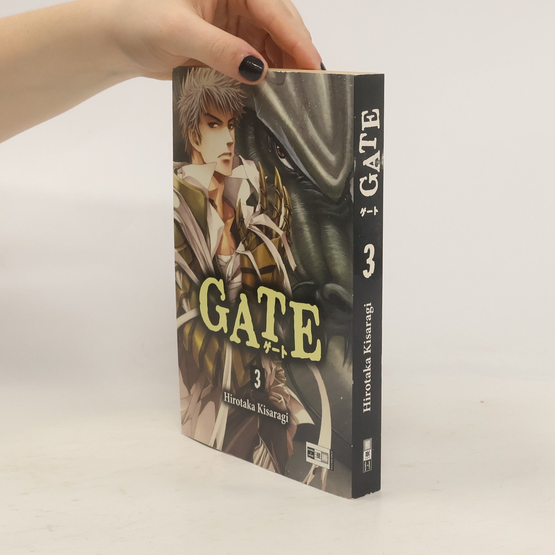 Hirotaka Kisaragi Gate 3